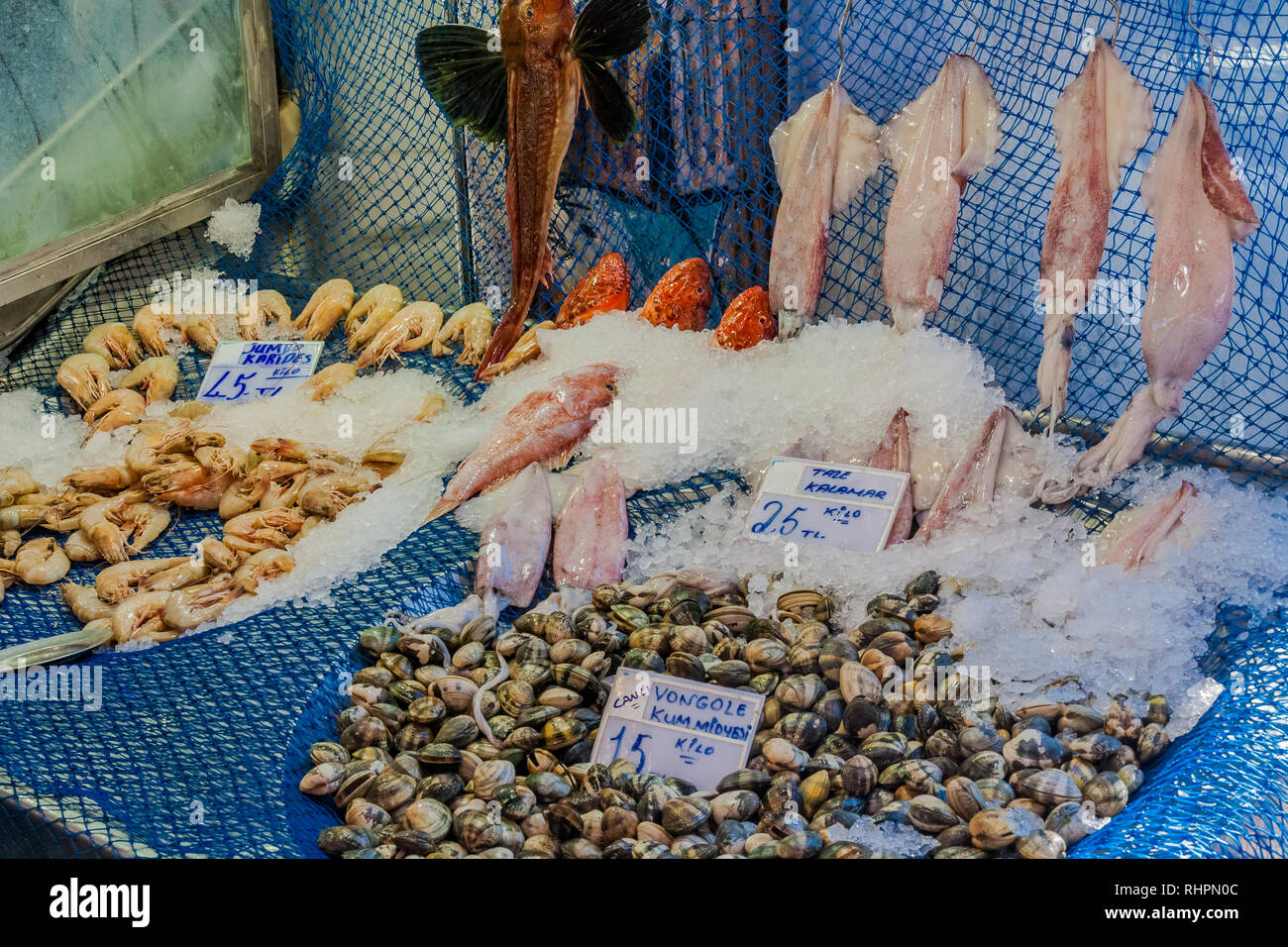Varietà di pesce sul display in un pescivendolo shop in Kadikoy, Istanbul, Turchia. Foto Stock