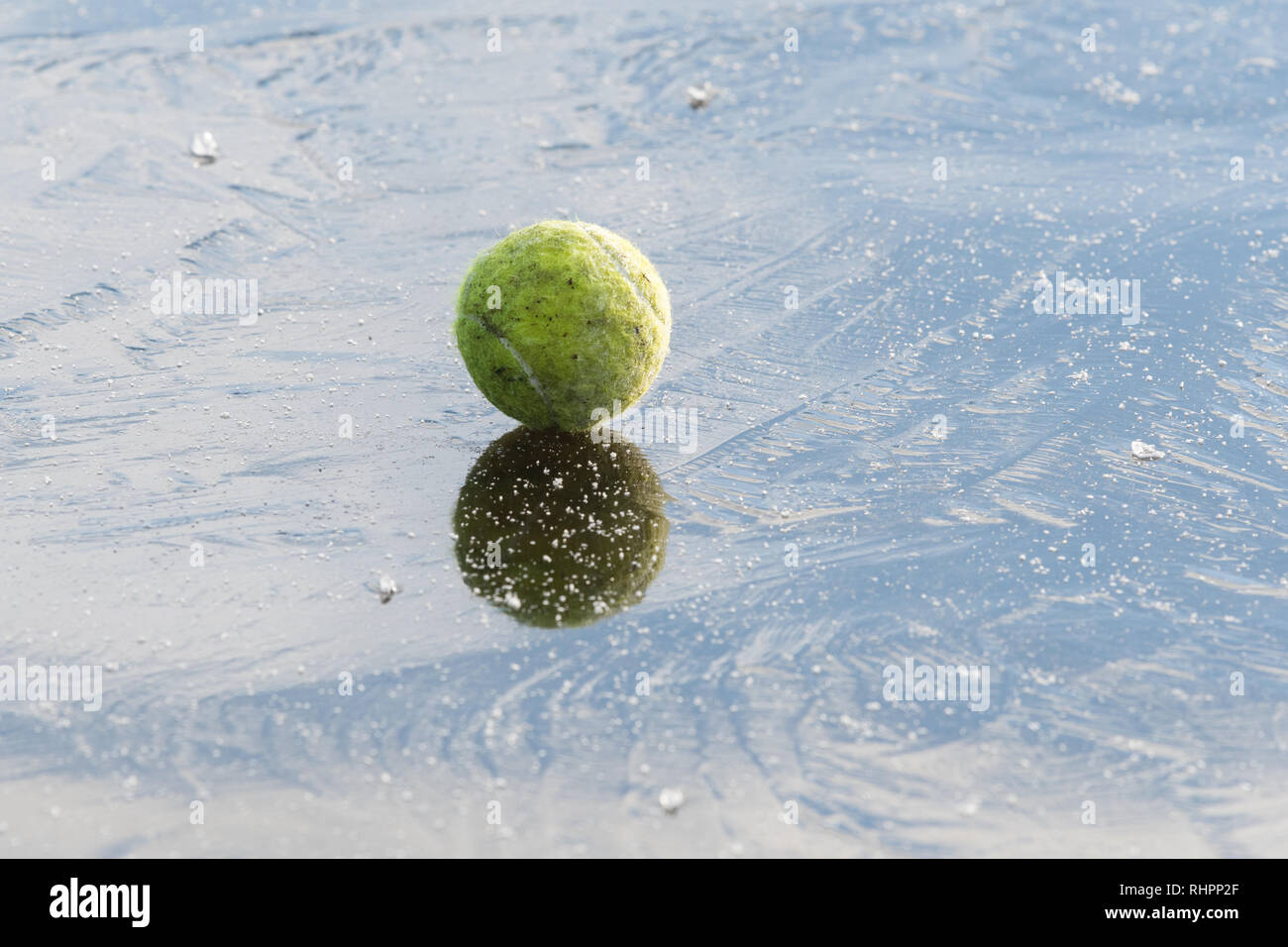 Sfera su ghiaccio - Cane la palla da tennis sul laghetto congelato - per illustrare i pericoli di cani in esecuzione su acqua congelata Foto Stock