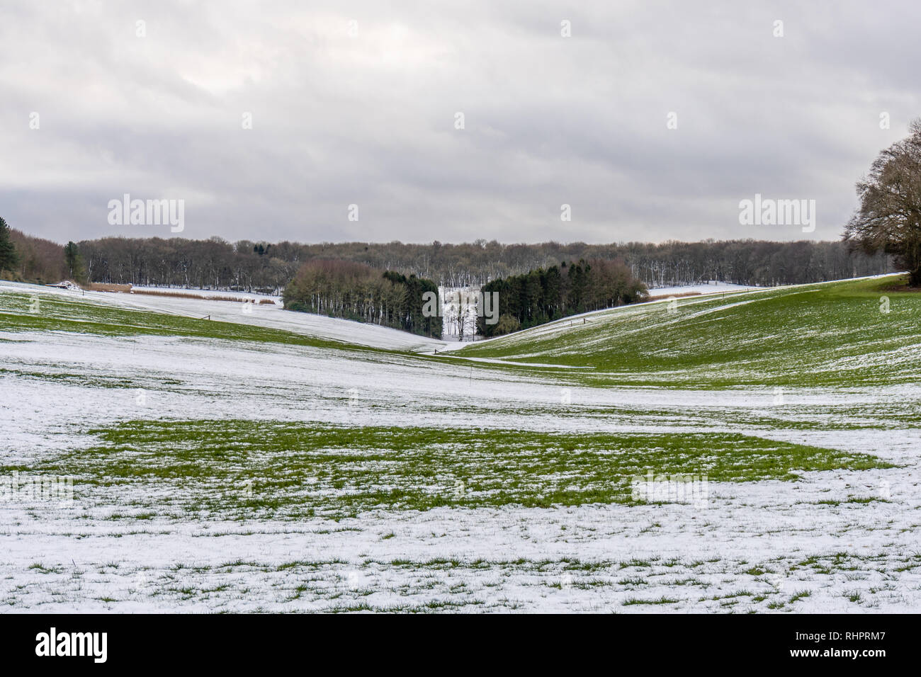 Paesaggio nel South Downs National Park durante la stagione invernale 2019, Hampshire, Inghilterra, Regno Unito Foto Stock