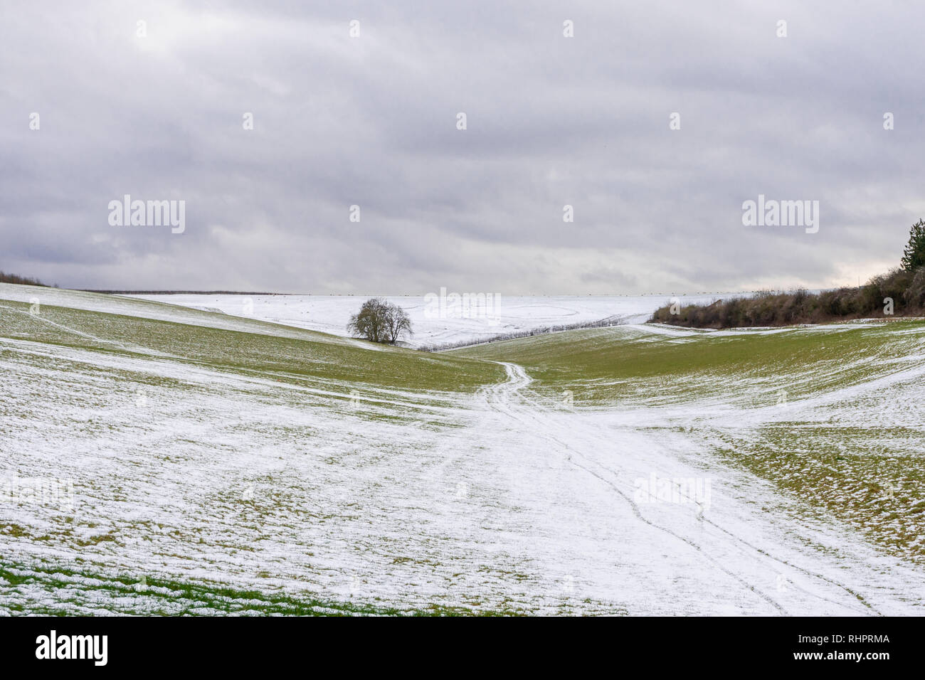 Paesaggio nel South Downs National Park durante la stagione invernale 2019, Hampshire, Inghilterra, Regno Unito Foto Stock