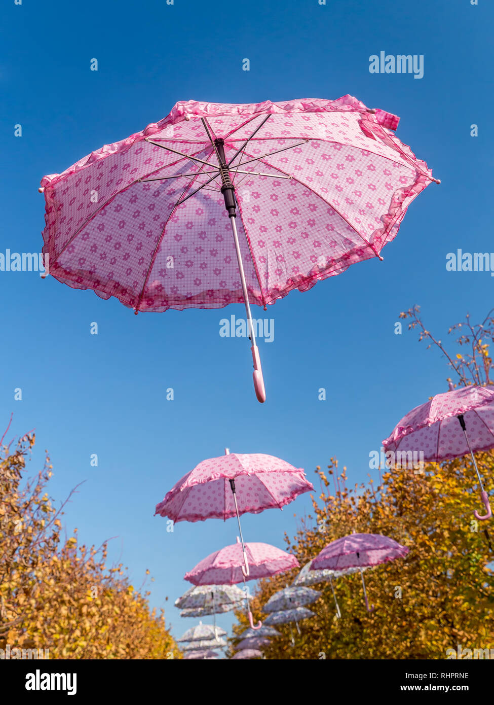 Ombrelli rosa in aumento nel cielo blu Foto Stock