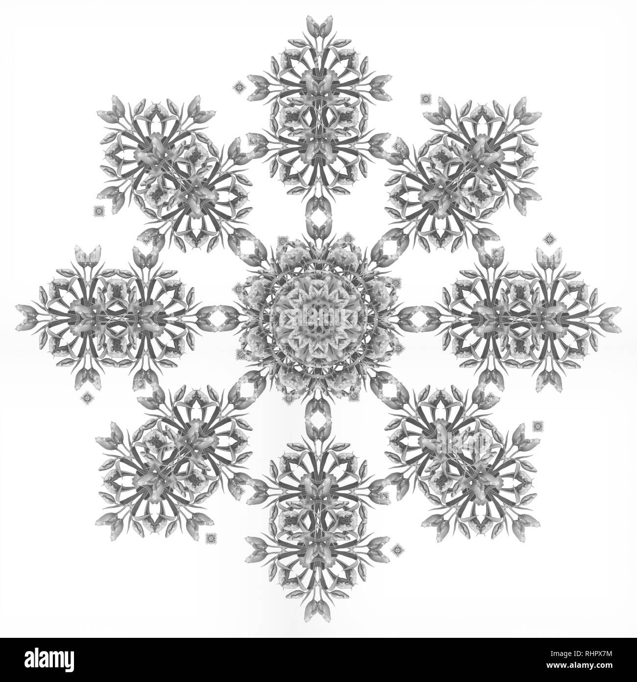 Arte floreale decorativa monocromatica e simmetrico modello frattale realizzato da macro di tulipani su sfondo nero in vintage stile di pittura Foto Stock