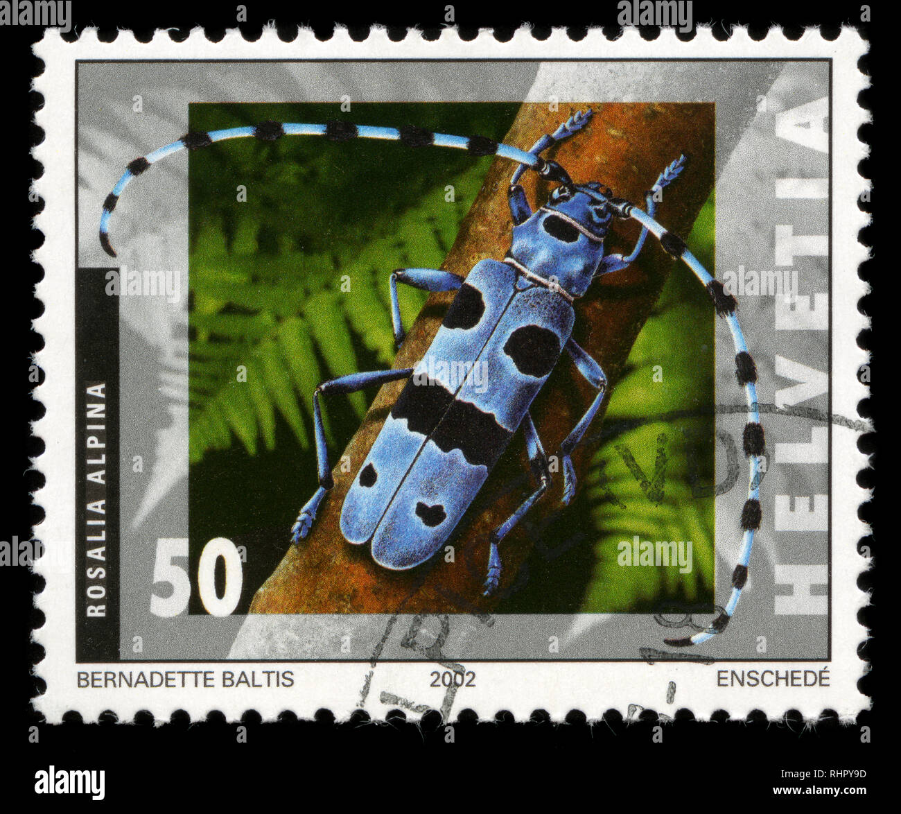 Francobollo dalla Svizzera nella serie di insetti emesso nel 2002 Foto Stock