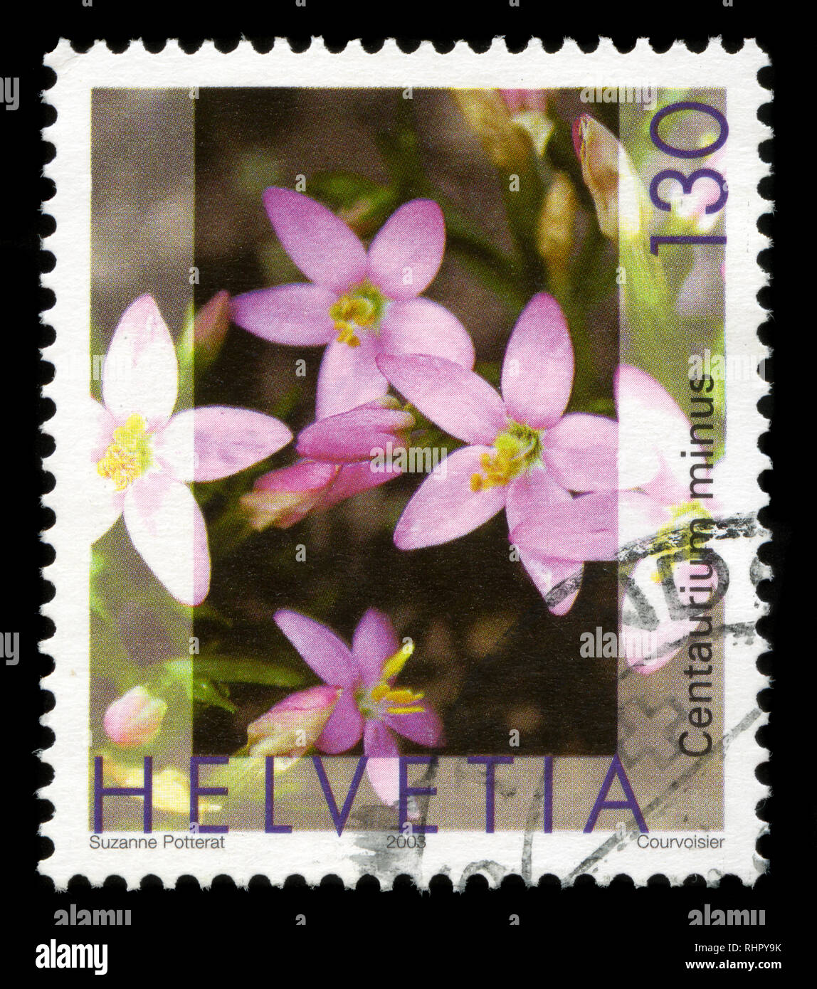 Francobollo dalla Svizzera nella flora serie emesso nel 2003 Foto Stock