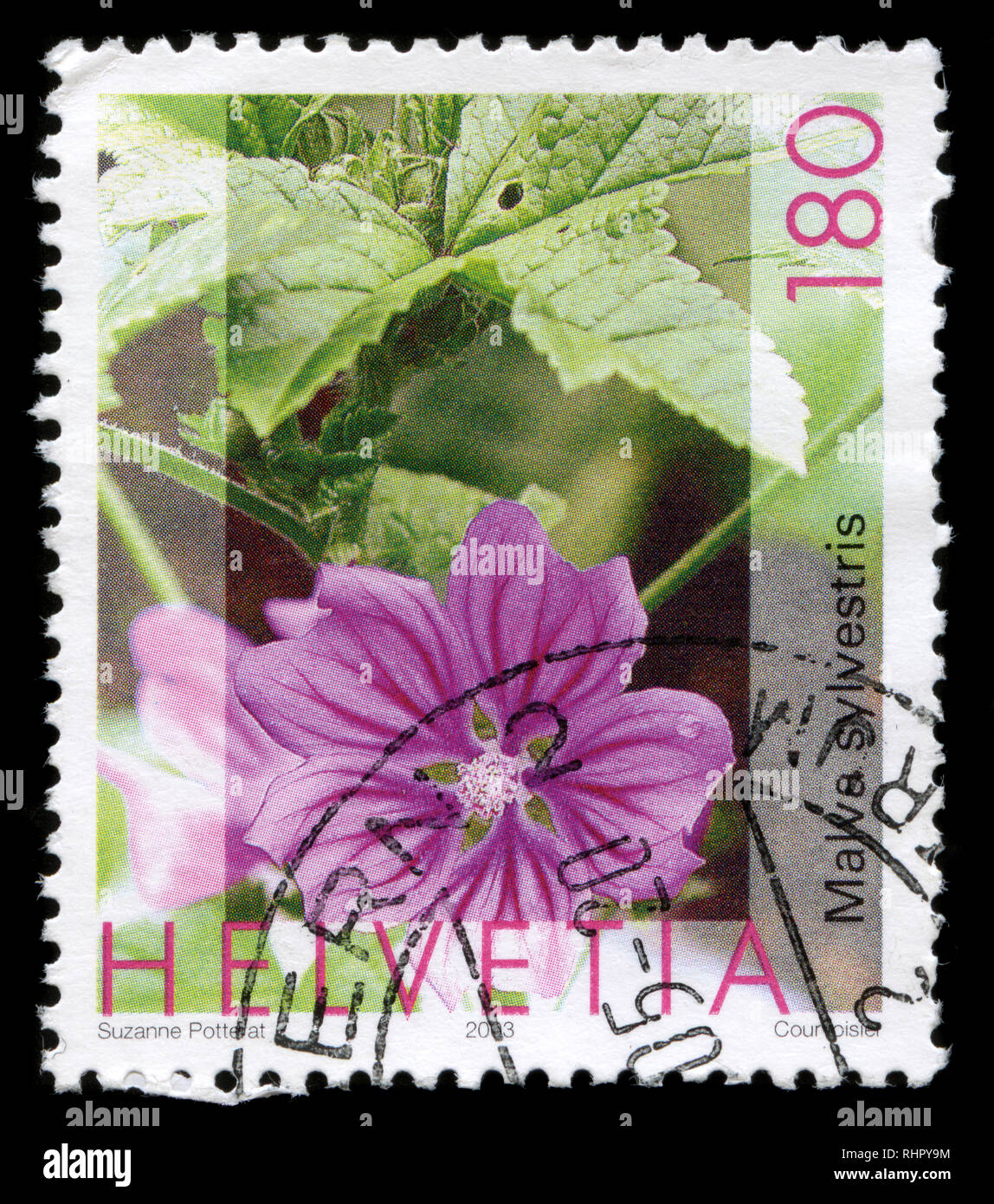 Francobollo dalla Svizzera nella flora serie rilasciato nel 2005 Foto Stock