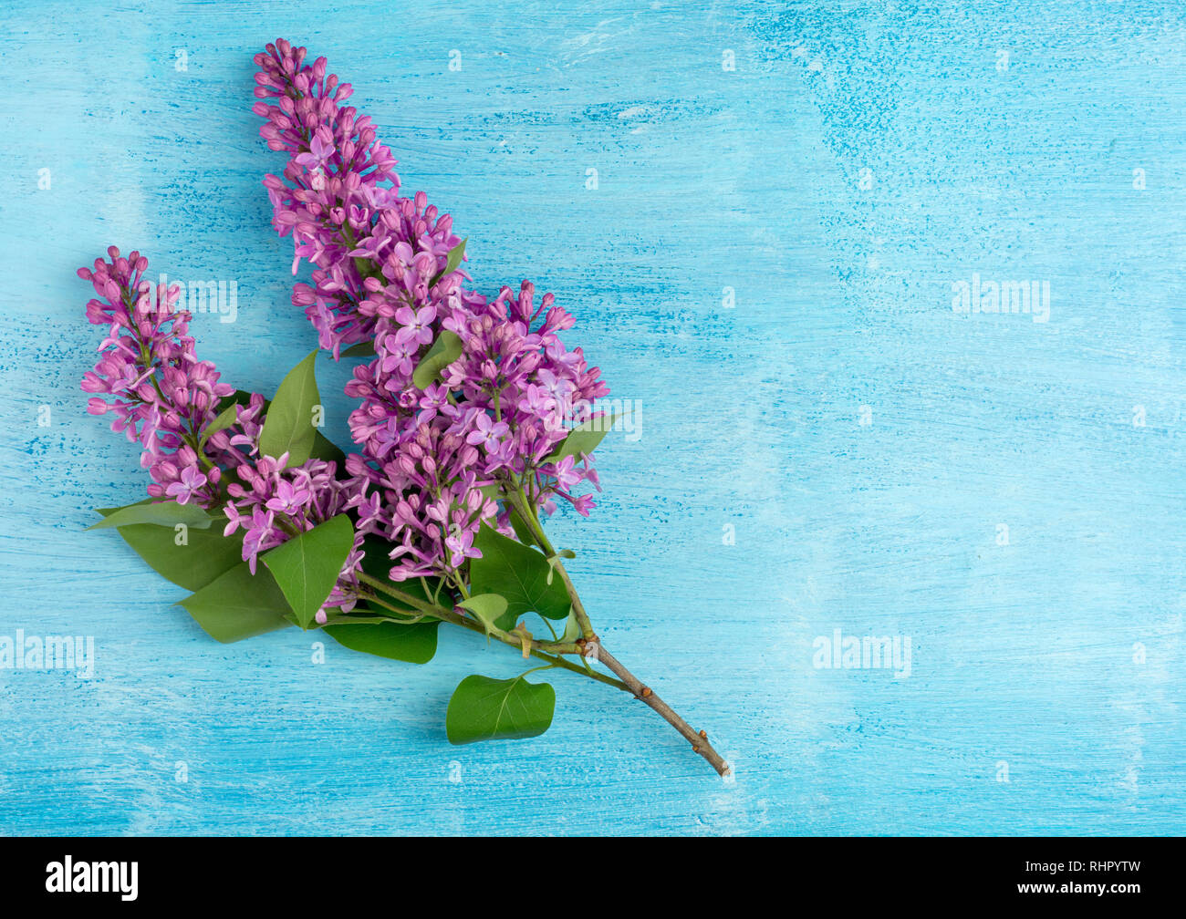 Un ramo di lillà su uno sfondo di legno. copiare gli spazi. Foto Stock