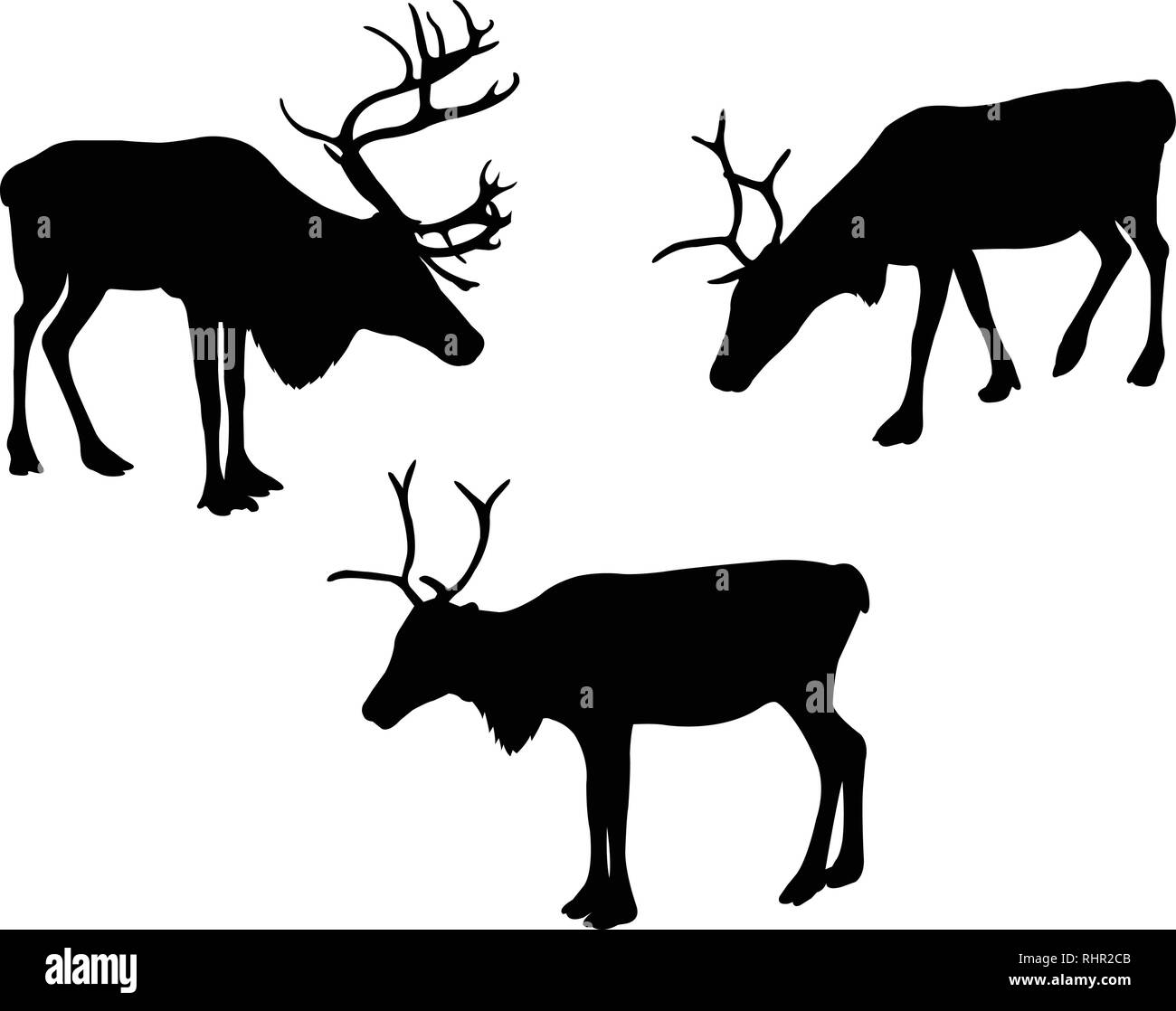 La renna o caribou sagome - vettore Illustrazione Vettoriale