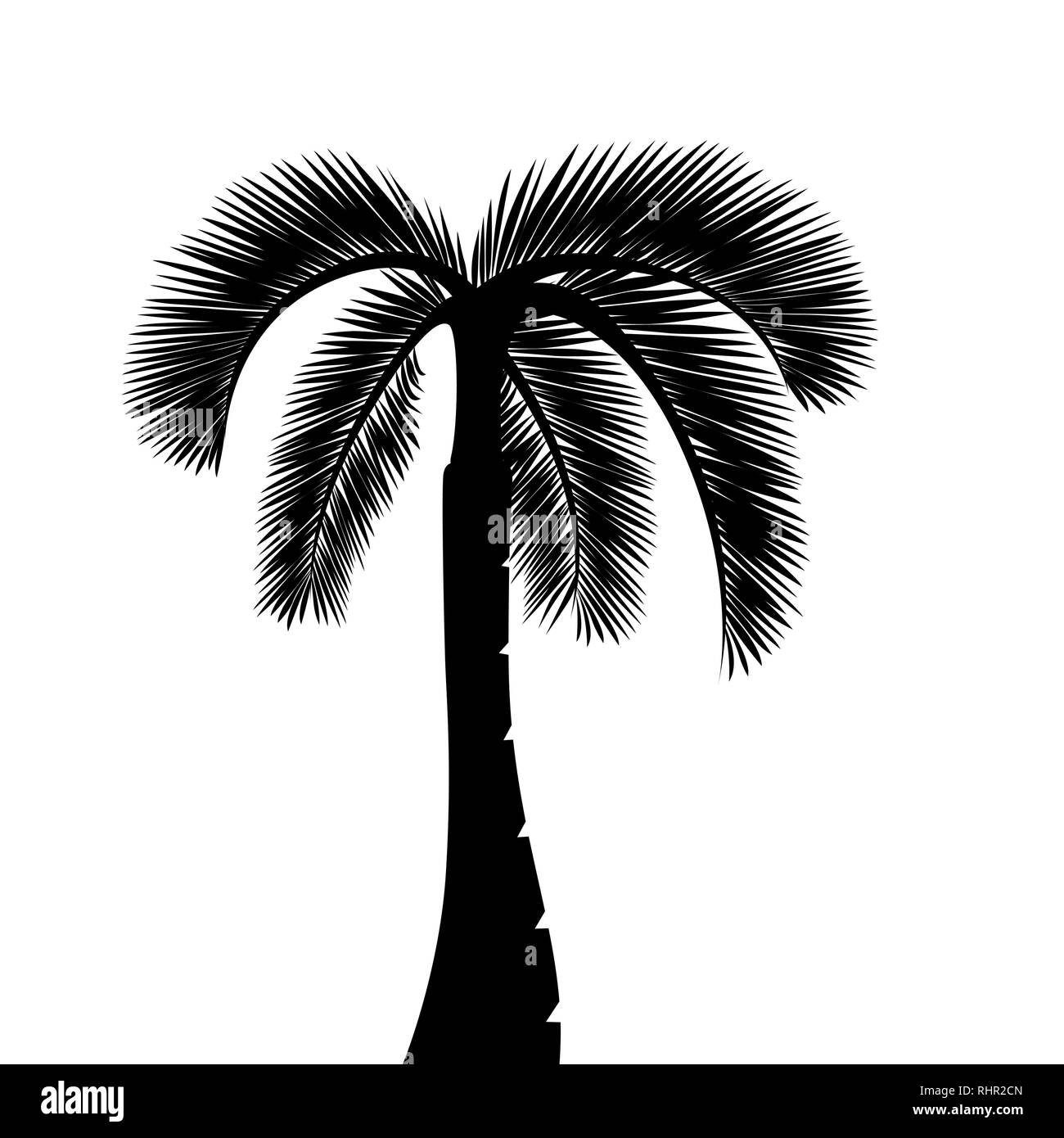 Palm tree silhouette isolati su sfondo bianco illustrazione vettoriale EPS10 Illustrazione Vettoriale