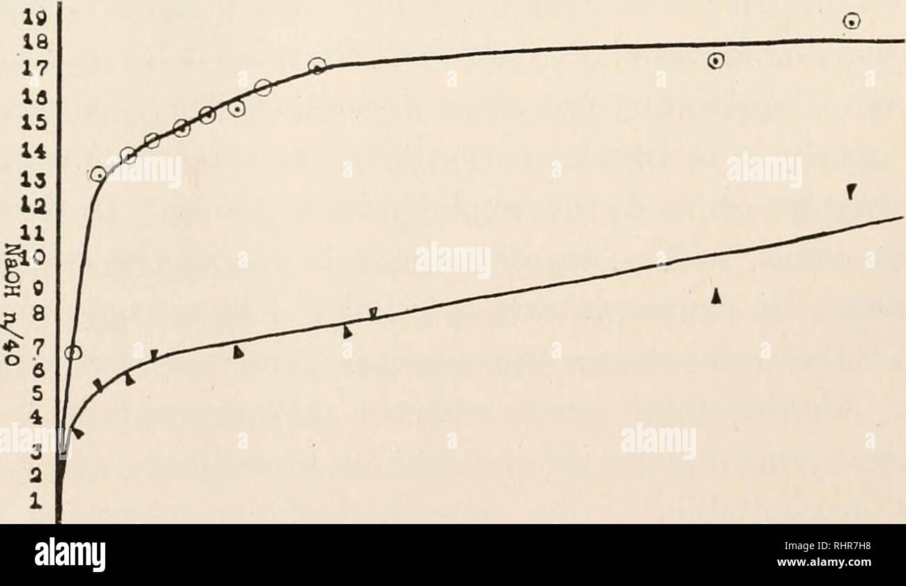 . Il bollettino biologico. Biologia; Zoologia; biologia; biologia marina. 68 OTTO GLASER. filtrazione, quella porzione di agglutinina che è recuperabile in questo modo non è il prodotto di decomposizione chimica subito dalla molecola amboceptor. Per ultra-conservative posso aggiungere che a causa della costruzione del filtro, un residuo della secrezione fallisce sempre di passare attraverso. Questo resto mostra una maggiore potenza agglutinante rispetto alla secrezione di originale. Più- oltre per timore che qualcuno è indotto a sospettare la confusione, lipolysin può essere isolato da i filtrati di tali separazioni meccaniche. La sua pre Foto Stock