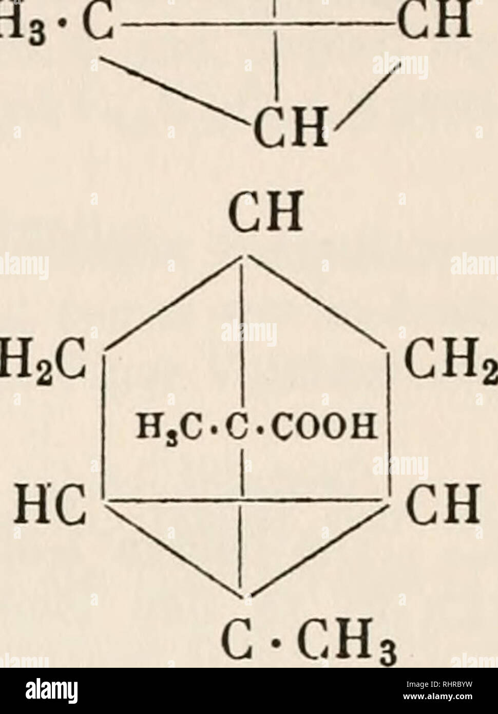 . Biochemie der Pflanzen. La fisiologia vegetale; chimica botanica. Norek- santal- säure CHs-C I CH2 Santen || CH2 ] CHa-C HO CHo -&GT; Tere- cOOK-ClCHs)! CH^ santalsaure 1 ru (Camphen- q^ ^ q - typus) Teresautalsäure (Camphertypus). ^CH' Das Santen CgHi4 wurde gleichfalls durch Semmler und Bartelt (1) aufgeklärt. Es handelt sich um einen bicyclischen einfach ungesättigten Kohlenwasserstoff, dessen Aufbau als jener des Norcamphens anzusehen ist. Santen ist auch im Vorlauf des sibirischen Fichtennadelöls durch Aschan (2) aufgefunden worden,- auch vom deutschen Edeltannen- und Fichtennadelöl bekan Foto Stock