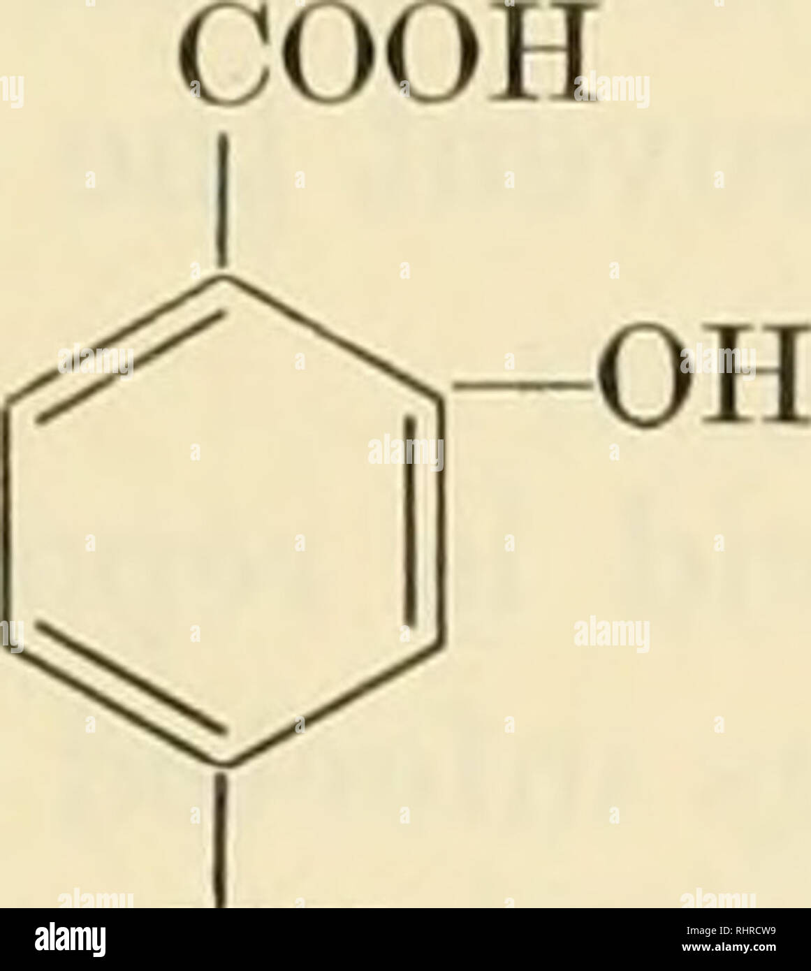 . La biochimica delle vitamine B. Vitamine; vitamina B complessa. p-amminobenzoico 525 composto più efficace, p-amminosalicilico acicl, inibiva la crescita del tubercolo bacillus a concentrazioni basse come 1.5 y per cc. A questo concen-. NH2 -p-ammino acido salicilico tration l'inibitore è stato azione batteriostatica anziché battericida. Il composto viene alimentato ad una concentrazione del 5 per cento della dieta non era tossico per ratti, topi o conigli, ma cavie divenne emaciated, perdita di capelli e sono morti entro due settimane su una tale dieta. In cavie infettate con Mycobacterium tuberculosis, l'analogo tendevano a Foto Stock