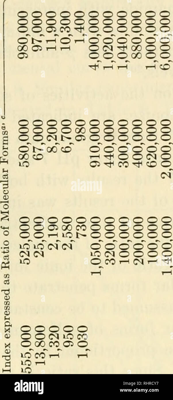 . La biochimica delle vitamine B. Vitamine; vitamina B complessa. p-amminobenzoico CO 0&GT; b- O ONiOHiOOHN'* O iQNTPMOOiOiO anch' io-h Co(N lOCO su cONt^oooooooo INMffliOO i tH iâi O 00 iO Â" su 00âi^OOOOO&LT; 50 rj-io O O O GU 5 eo. mocctOHO OOOuOOOOOi OOOMNOOOl OM^iONOOOi r-i NOHTf r^ cor-H ^ o co-* 00 -3 0&GT; CO b- p J2 o â * " gu im' ONm m^io O&lt;MiO00 CO O O iO SU O &LT;N &LT;N CO CO N &LT;M MONETA i-h CO iO IV la filiale ill ill 3 03 e 03 3 js 3 03 Â£ 03 rJ^S Â£ti1il3:â€3:&amp;* T3 "3 "3  3  3 rt""^-^ â &gt;-'^i -h'. Si prega di notare che queste immagini vengono estratte dalla scansione p Foto Stock