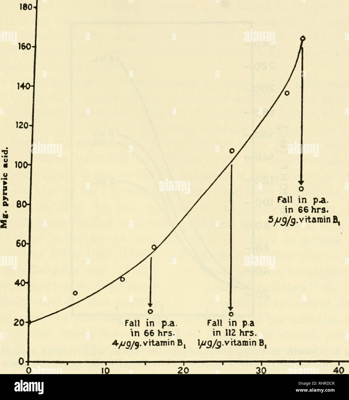 . La biochimica delle vitamine B. Vitamine; complesso di vitamina B. La vitamina B REQUISITI DI ANIMALI E PIANTE 313 colina.21 Tali risposte, tuttavia, deve essere valutato non solo in termini di peso, ma anche del tempo necessario per raggiungere lo stadio adulto, e il numero di ninfe che sopravvive. Infatti alcuni lavoratori utilizzano il prodotto del numero di insetti di raggiungere un certo stadio di sviluppo e il reciproco del tempo medio richiesto per raggiungere quello stadio come criterio. Giorno*. La figura 3. Aumento di acido piruvico in Corcyra cephalonica San larve su un tiamina dieta carente. Dieci larve sono state utilizzate Foto Stock
