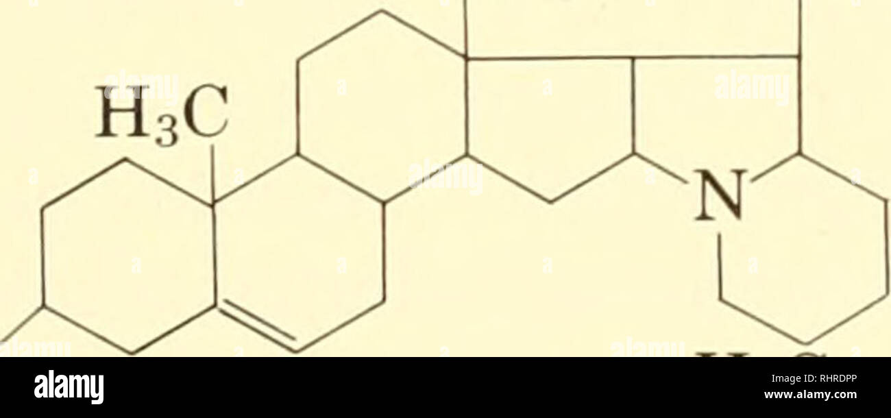 Biochimica Sistematica Variazione Biochimica Botanica Alcaloidi 163 Pirrolidina Derivati Tropane Derivati N Chs Ch2coch3 Chooh 0 Coch C6h5 Hygrin Hyoscyamin Pyrrolizidine Derivati H Oh 2 C Ch3 H3c C Ch C 0