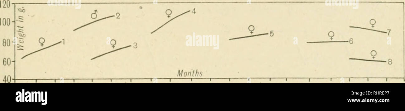 . La biochimica di ufficiale, 1917. Biochimica. TllK wa'I'KR-SOI.UJiLI^: ACCIOSS(JUY nel lievito L&GT;r,: come nel caso precedente. Un lurgc [)ropr)rtioii (40 %) di acetone-fosfotungstato insolubile non è stato decomposto da questo processo, e nuovamente formato un precipitato fiocculent che molto ha interferito con la separazione. Le curve mostrate nella tabella XI dimostrano che l'acqua-crescita solubili fattore accessorio è presente prevalentemente in acetone-frazione insolubile dell'acido fosfotungstico precipitato, sebbene la grande perdita è avvenuta durante la separazione. Cliart XI. Curve 1-4. Dieta basale -I- acetonc Foto Stock