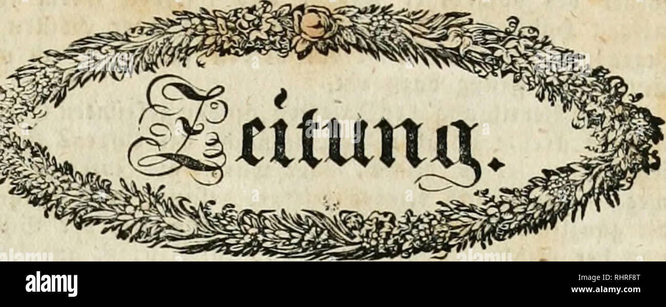 . Blumen-Zeitung. Floricoltura; fiore giardinaggio. SBeipenfee (tii 3:()riririijen), t)CN 23. gcbruar 1836. IX. 3nl)r}]ang. Ueber 3"fecten--2?err)ecrutigen un Sactu^^ vtr. 1 bcr 2Dfi?enfee'r s?IumeiijfiUiii(i "cm 8. 3nnunr b. 3. tntbfilt unter bcm Xittl//^ncfcnSaaiinlung" (*l)Jit" T1)c([tin.q jprn DCS. (5. ©ieD^, Ditctor jc.) na(t)(ic^tn6e SStmcrfung: "S3su bcm fm ooriiien ©ommer gecrntcten ©nmcn ttcrfdjietener ©pccicS fltlifflt f^ n&GT;ir niilit, C. Cereus phyllanthoides (alatus) bffruditet mit C. flagelli- formis jurn aOacbffii )u brin^en. gmar fciintn (ie Jeift)'/ flber faum htibfn ft* Foto Stock