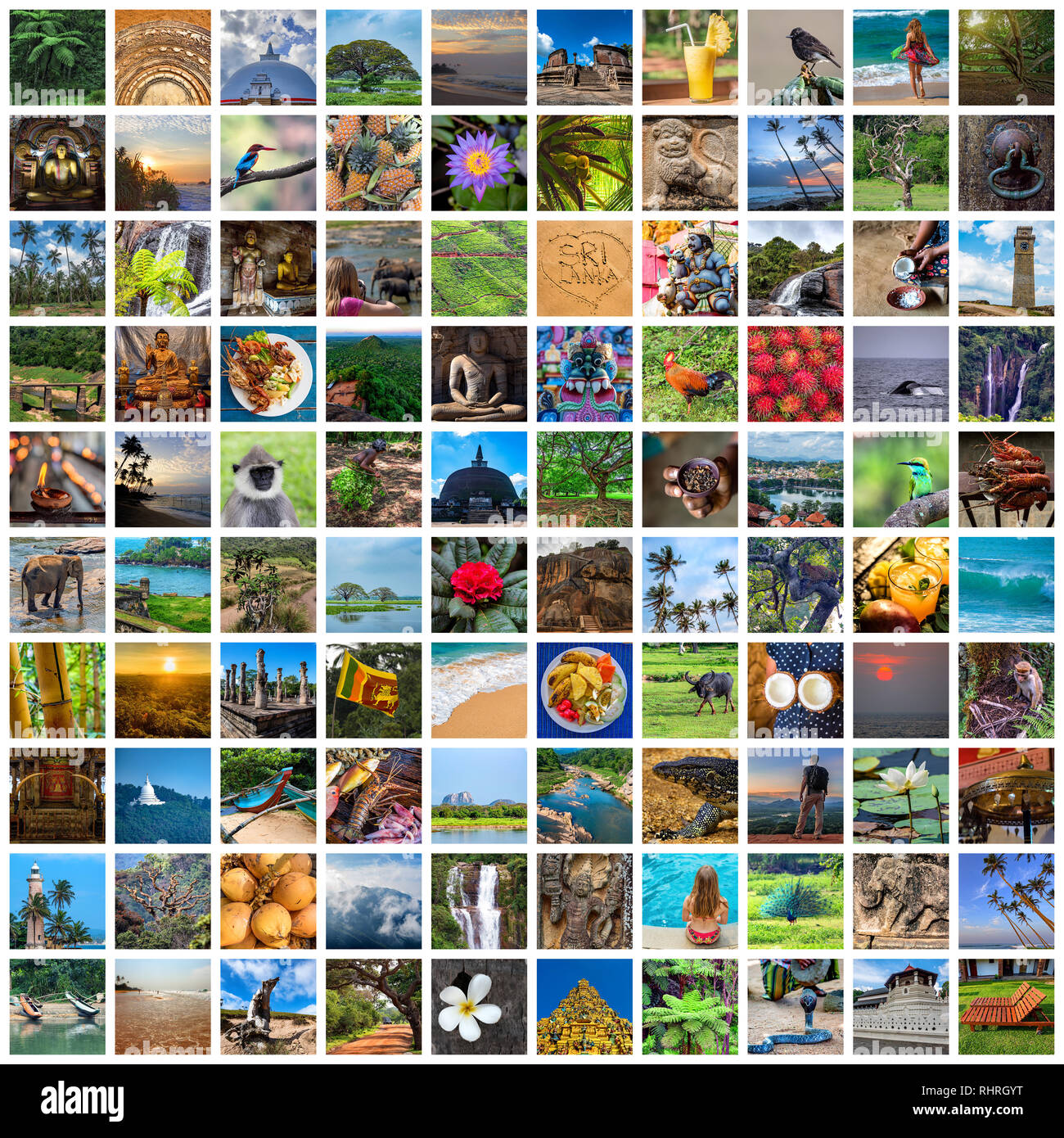 Sri Lanka collage fatto di varie foto Foto Stock