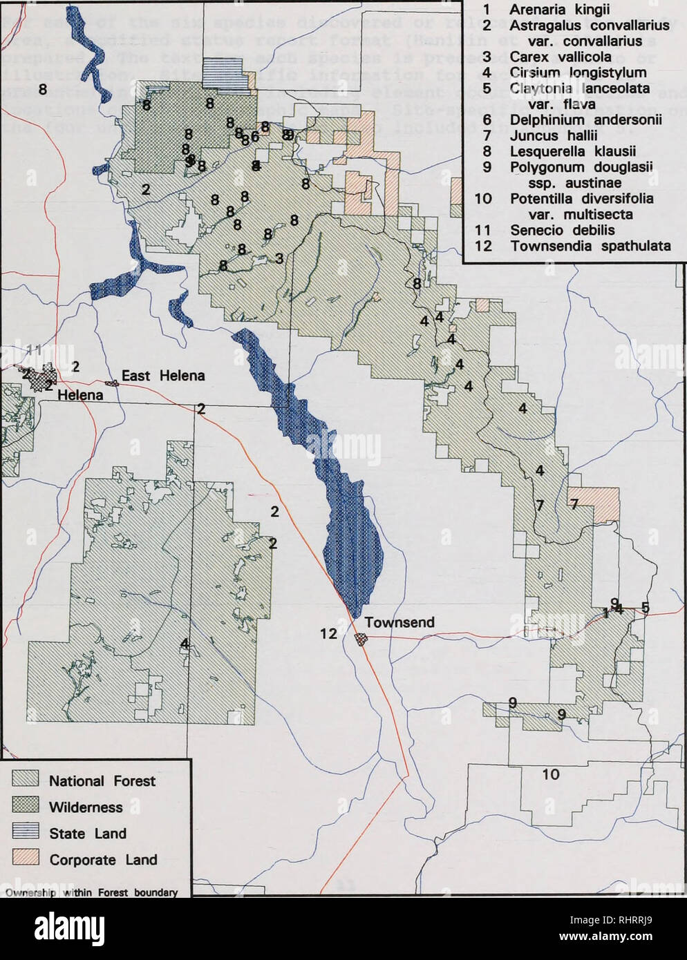 . Impianto sensibili sondaggi in grande la cinghia e la Elkhorn montagne, U.S.D.A. Forest Service, Regione 1, Helena National Forest, Montana . Piante rare; piante rare; piante rare; botanica; botanica; Botanica. La figura 3. Helena Foresta Nazionale di cinghia grande &AMP; Elkhorn montagne di piante sensibili siti 1 Arenaria kingii 2 astragalo convallarius var. convallarius 3 Carex valllcola 4 Cirsium longistylum 5 Claytonia lanceolata var. flava Delphinium andersonii Juncus hallii 8 Lesquerella klausii 9 Polygonum douglasii ssp. austinae 10 Potentilla diversifolia var. multisecta 11 Senecio debilis 12 Townsendia spathulat Foto Stock