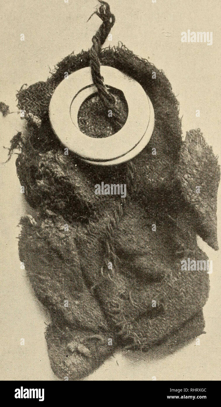 . Musei Bergens aarbok. 1H13] Fortegnelse over indkomne saker i 1912. 41 b. Øks typen av Rygh fig. 561, hel og vel bevart. 17 cm. lang, 11,8 cm. allevati su eggen. c. Brudstykker av en skjoldbule lik Rygh fig. 562. d. En litt ufuldstaendig jemkniv, nu 9.4 cm. lang.. Fig. 28. Sølvringer og tøi. No. 67 b. e. En ganske liten martello med smal bane, 6,6 cm. lang. f. Brudstykke av en jernring, rimeligvis av et bissels. g. Litet flatt bryne av meget fin skifer, med hul gjennem den ene enden. 10,8 cm. langt. Sakene er fundet ved jordarbeide og maa skrive sig fra en ubraendt mandsgrav. Indsendt ved lensman Foto Stock