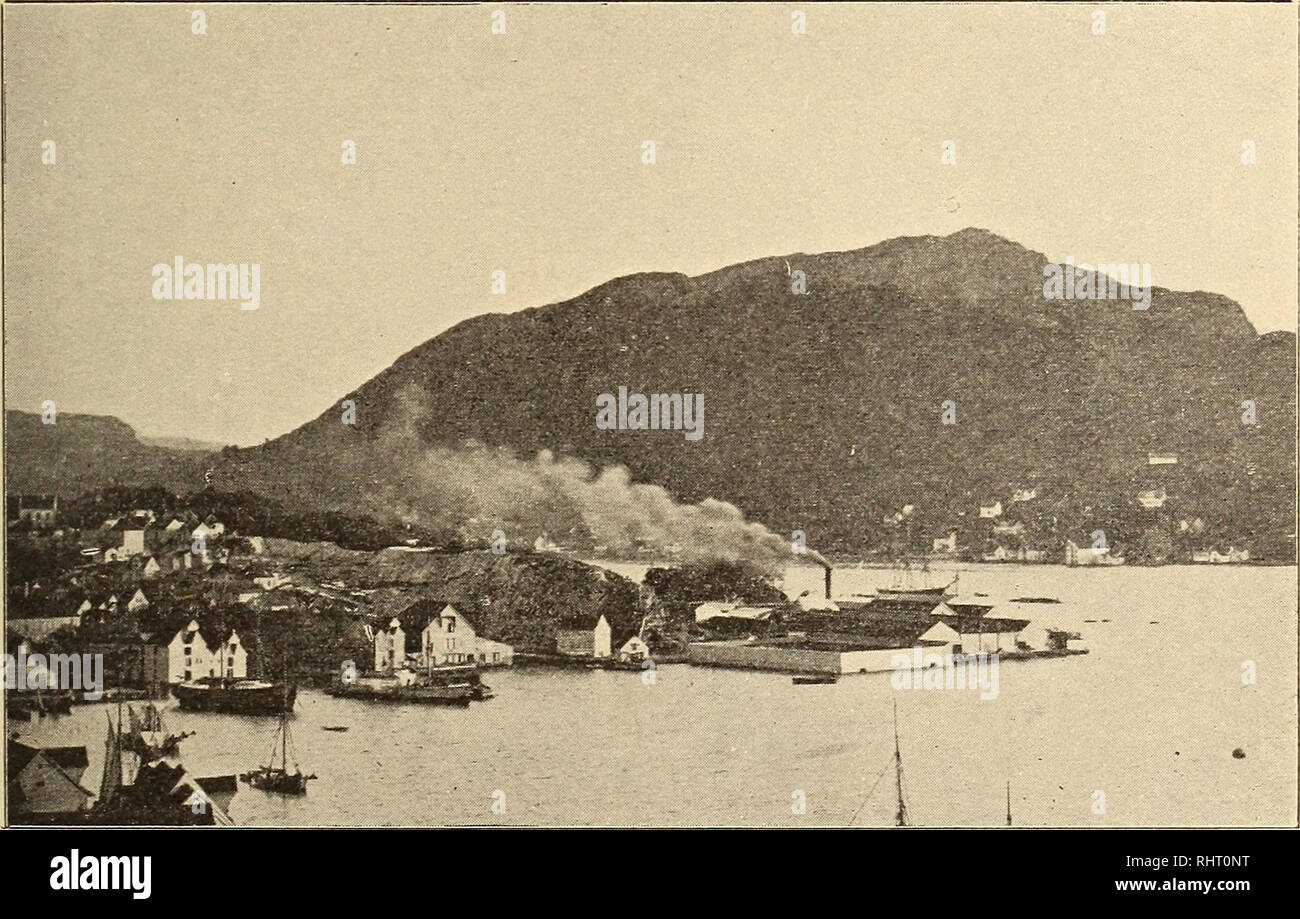 . Musei Bergens aarbog. La scienza. 1902] III. Studier over bero-arterne ved Berg-en. 23 forma LøYstakmassivets og dets forhold til de omgivende bergens- skifre vil kunne vede af fig. 10. Fotografiet, der er tåget fra Fred- riksberg faestning, viser os massivet, saaledes som det ser ud, naar uomo ser det fra noi piacerebbe af. Laengst tilvenstre paa billedet vede skif- erne og gneisbergarterne ved Natland. Disse falder mod s.s.ø., altsaa fra massivets graense der. Ret specifiche diun Løvstakken vede Drage- fjeldets kvartssericitskifre, hvorpaa der mi flere aar har blevet incluso stenbrud drevet, og hvor faldet er ø mod.n.ø., al Foto Stock