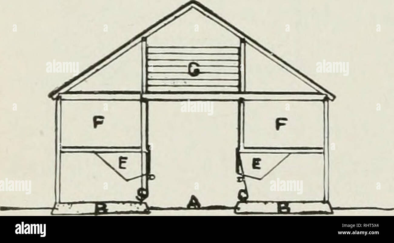 . Biggle suina libro. Suina. [Dal vecchio catalogo]. FIG. I. avvallamenti. DDD sono le penne collegati da porte con ciascun altro e dall'open corre FFFhy porte. Fig. La figura 2 mostra una vista in sezione trasversale. Si tratta di venti-quattro piedi da terra al picco del tetto. Una è la porta ; BB i pavimenti di cemento CCare ; fig. 2. i trogoli di alimentazione ; DD le porte scorrevoli per proteggere gli abbeveratoi mentre la broda viene versata a. Quello di destra è mostrato aperto ; quello sulla sinistra, chiuso. EE sono gli scivoli per il mais per venire giù e EEslyq^ i presepi. GG, bidoni per la crusca e farina, ecc. Fig. 3 è una vista in sezione nel senso della lunghezza Foto Stock