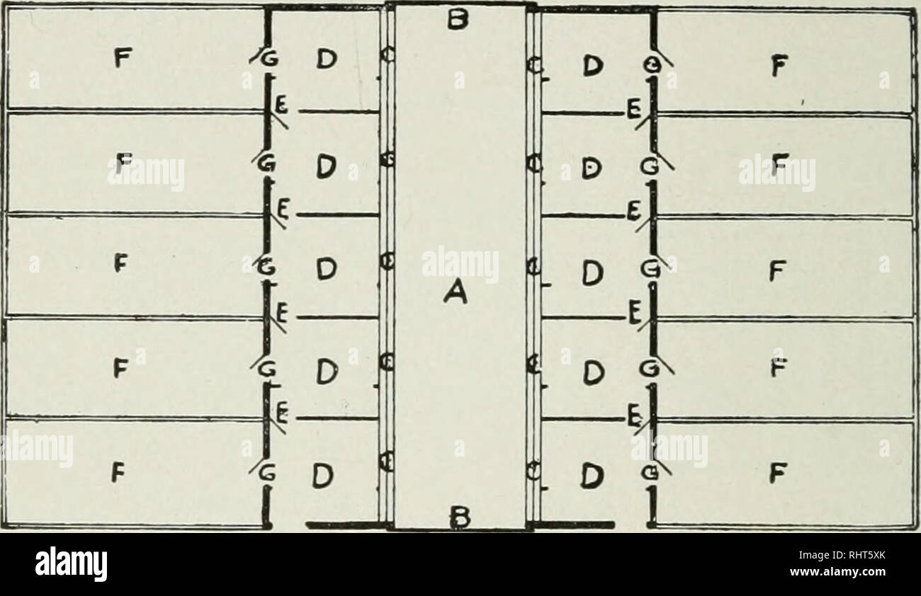 . Biggle suina libro. Suina. [Dal vecchio catalogo]. 50 HIGGLE SUINA LIBRO. illustrato, A è il viale di accesso immesso attraverso entrambe le estremità tramite le porte scorrevoli BB. CCC sono i mangimi. FIG. I. avvallamenti. DDD sono le penne collegati da porte con ciascun altro e dall'open corre FFFhy porte. Fig. La figura 2 mostra una vista in sezione trasversale. Si tratta di venti-quattro piedi da terra al picco del tetto. Una è la porta ; BB i pavimenti di cemento CCare ; fig. 2. i trogoli di alimentazione ; DD le porte scorrevoli per proteggere gli abbeveratoi mentre la broda viene versata a. Quello di destra è mostrato aperto ; quello sulla sinistra, chiuso. EE sono il Foto Stock