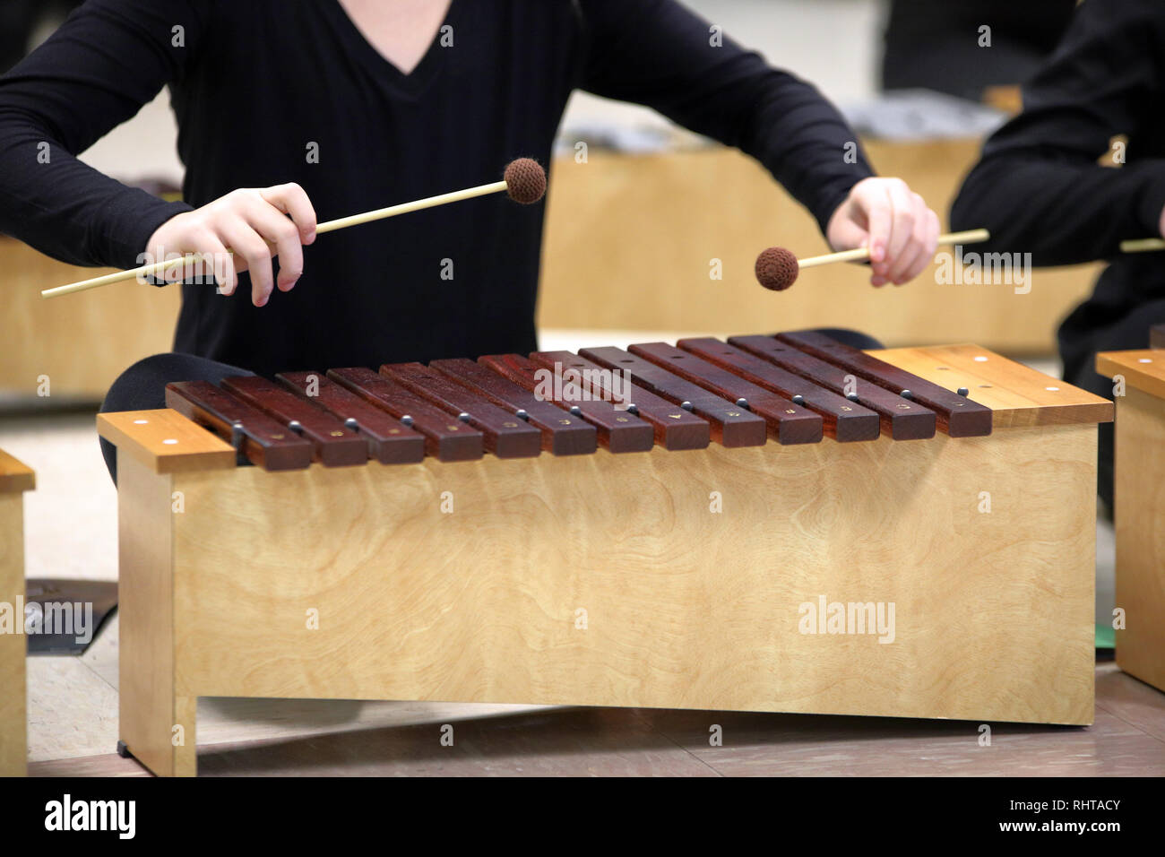 La riproduzione dello studente xilofono diatonico utilizzato dagli studenti a scuola per imparare a conoscere la musica e l'arte. Foto Stock