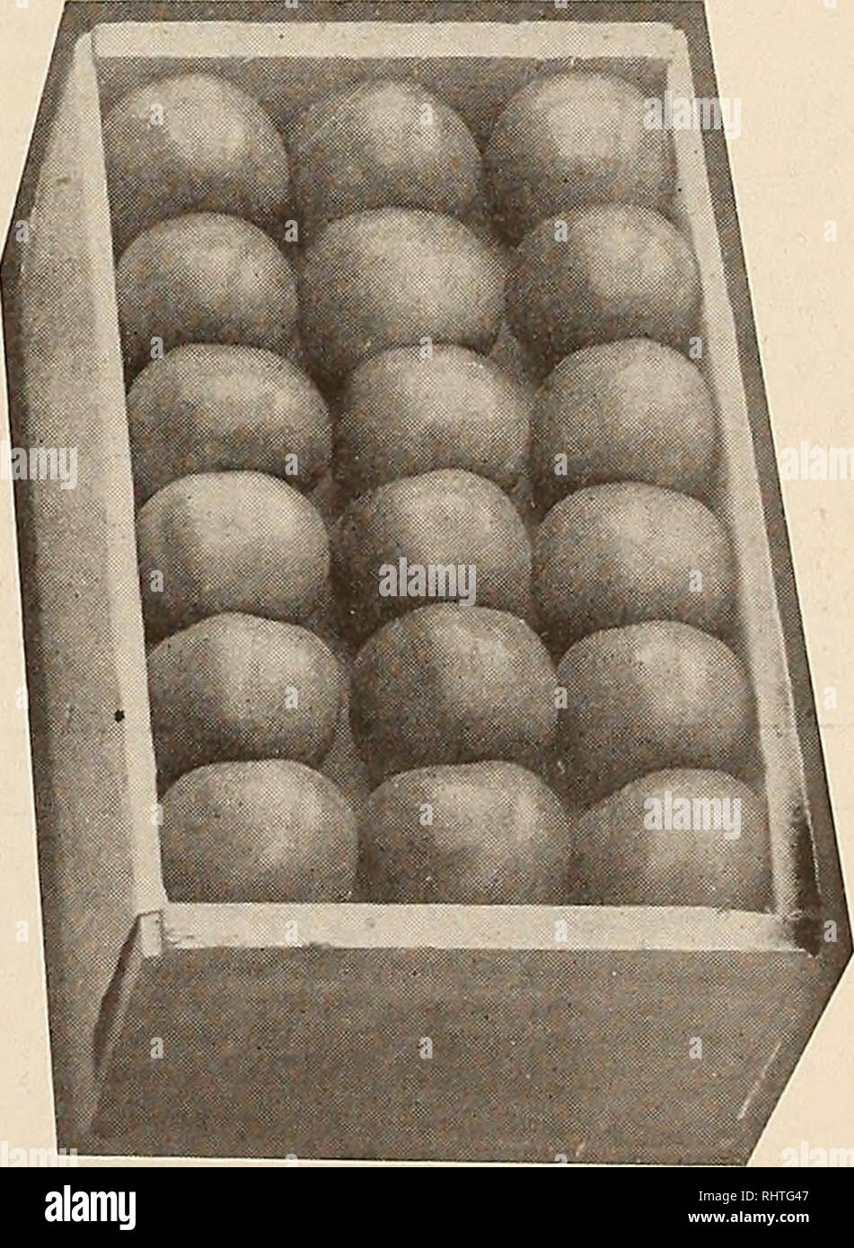 . Frutti migliori. Frutti-coltura. Spitzenberg senza irrigazione giallo Newtown senza irrigazione se siete alla ricerca di frutta TERRA CHE SOLLEVA IL SOPRA DESCRITTO DI FRUTTA IN QUALSIASI DIMENSIONE di tratti, MIGLIORATI O UNIMPROVED, chiamata in o indirizzo consolidato della società immobiliare salmone bianco, Washington durante la scrittura di inserzionisti menzionare frutti migliori. Si prega di notare che queste immagini vengono estratte dalla pagina sottoposta a scansione di immagini che possono essere state migliorate digitalmente per la leggibilità - Colorazione e aspetto di queste illustrazioni potrebbero non perfettamente assomigliano al lavoro originale. Hood River, o. , Meglio la pubblicazione di frutta c Foto Stock