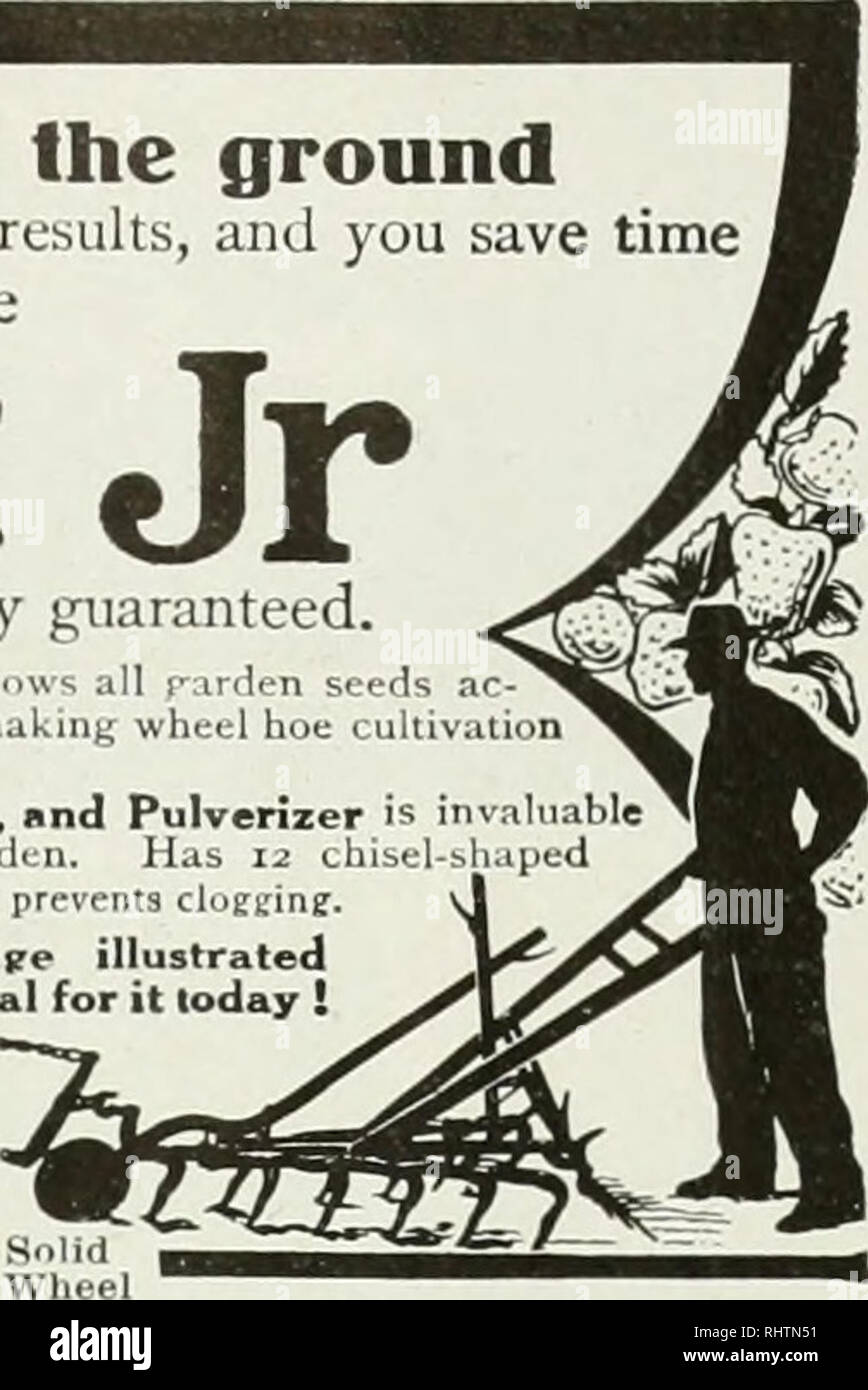 . Frutti migliori. Frutti-coltura. Una maggiore crescita dal terreno ttie Scientitic coltivazione del suolo dà risultati più grandi e consente di risparmiare tempo e di alleggerire il lavoro se il vostro iinplements sono pianeta Jr leggero, forte e duratura, pienamente garantita. ws tutti r:irden semi ruota re boe coltivazione 1 Pianeta Jr Hill e praticare una seminatrice in hiil o trapani. Scrofe in una stretta linea i rk e facile. Pianeta Jr dodici-looth Harrow, coltivatore, e polverizzatore è in fragola e carrello patch e il mercato ^'ardi;n. Ha 12 chise teetb polverizzatore e. Alsu buliJ siccl ruota, che impedisce cloEgine. iri&GT;1?1? Un istruttivo 72-p Foto Stock