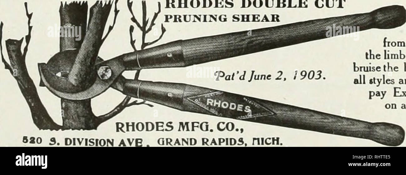. Frutti migliori. Frutti-coltura. W. T.THORNTON, agente di colonizzazione, C&lt;jnadian Pacific Ra Lway Co onizatioTi Ucpartment, 112 W. Adams st. Chicago plr-ase di inviarmi il vostro bonk di inf*^rmazioni sulla Ir.i:^alion I'armmg nella soleggiata Aibtrta. )RHODKS doppio taglio taglio di potatura. Rodi MFG. CO., ""0 S, DIVISION AVE , GRAND RAPID5, niCH. "L'unico potatore realizzato mat tagli provenienti da entrambi i lati dell'arto e non schiaccerà la corteccia. Realizzati in tutti gli stili e dimensioni. Dobbiamo pagare le tasse Ejtpress su tutti gli ordini. Scrivere per circolare e prezzi. Coltivatori di frutta, LA VOSTRA ATTENZIONE Royal Ann, Bing e Lambert ciliegi; Spitzenberg Foto Stock
