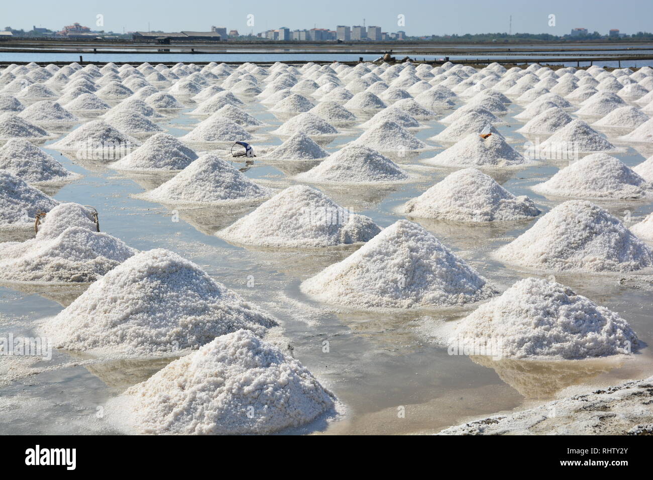 Salina o campo di sale, il paesaggio di sale campo di coltivazione Foto Stock