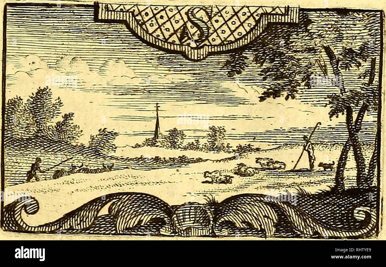 . Beschryving van Ysland, Groenland en de straat Davis. : Tot dado der wetenschappen en den koophandel.. Anderson, Johann, 1674-1743; Storia Naturale; Storia Naturale; Eschimese lingue; linguistica indiana. TE AMSTERDAM, BjHEVEN vu E S V E L D T r a de Beurs-Steeg, 1750 Boekverkoper". Si prega di notare che queste immagini vengono estratte dalla pagina sottoposta a scansione di immagini che possono essere state migliorate digitalmente per la leggibilità - Colorazione e aspetto di queste illustrazioni potrebbero non perfettamente assomigliano al lavoro originale. Anderson, Johann, 1674-1743; Winckler, Johann Dietrich, 1711-1784. Te Amsterdam, : da Steven v Foto Stock