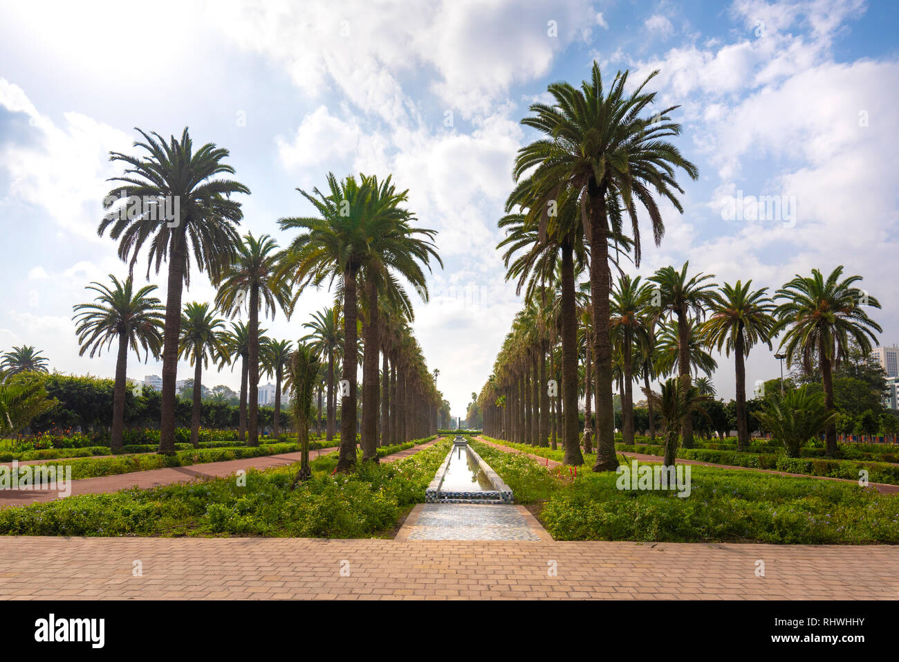 Panorama di palme nella Lega Araba Il parco ( Parc de la Ligue Arabe ) a  Casablanca, in Marocco. Attrazione principale e bellissimo giardino verde  Foto stock - Alamy