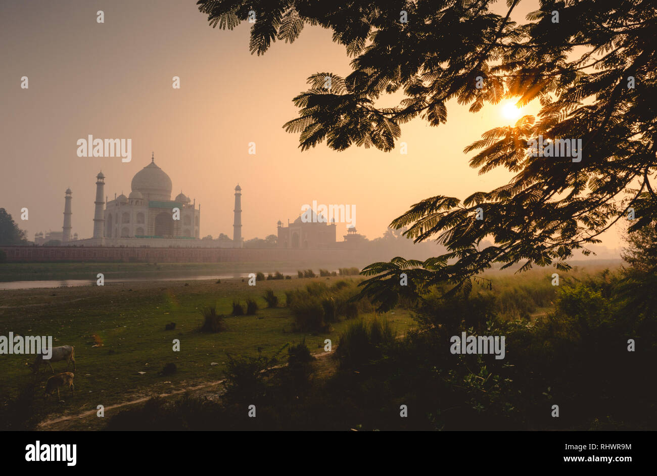 Nel tardo pomeriggio sul lato opposto del fiume Yamuna al Taj Mahal, Agra Foto Stock