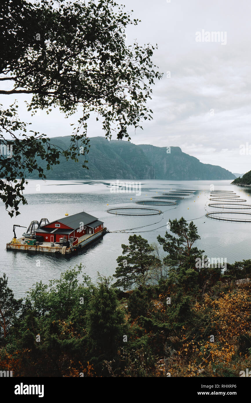 Un tipico dei salmoni pesci di acquacoltura farm in un fiordo Norwegion, Norvegia Scandinavia. Foto Stock