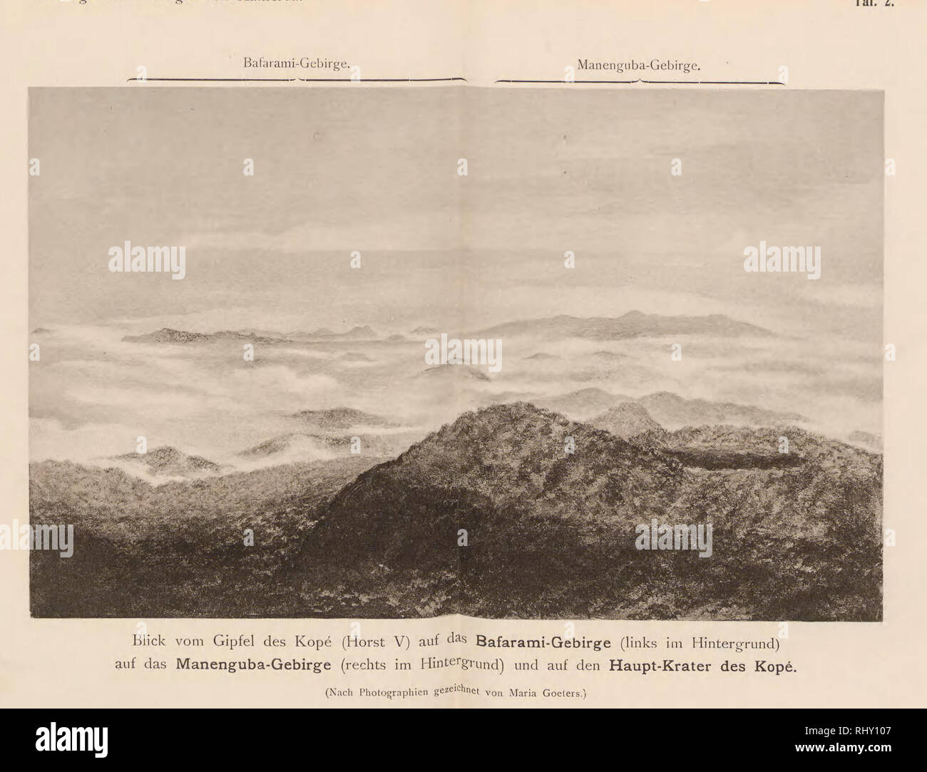 . Beiträge zur geologiche von Kamerun. Geologia e Paleontologia. Beiträge zur geologiche von Kamerun.. 80 1 ger: Fauna der Mungokalke.. Si prega di notare che queste immagini vengono estratte dalla pagina sottoposta a scansione di immagini che possono essere state migliorate digitalmente per la leggibilità - Colorazione e aspetto di queste illustrazioni potrebbero non perfettamente assomigliano al lavoro originale. Esch, Ernst,1870-; Oppenheim, Paolo,1863-1934; Solger, Friedrich,b. 1877; Jaekel, Otto Max Johannes,1863-1929; in Germania. Auswärtiges Amt. Kolonial-abteilung. Stoccarda, E. Schweizerbartsche Verlagsbuchhandlung (E. Nägele) Foto Stock