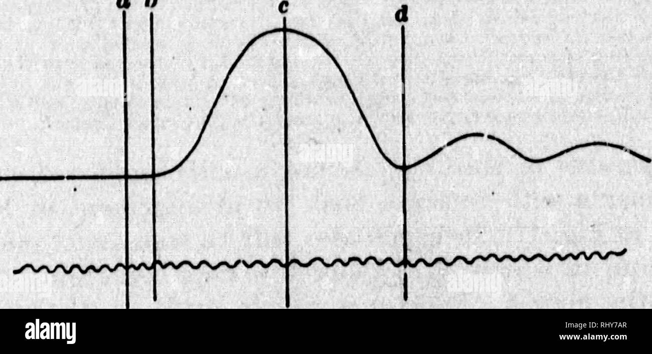 . Un libro di testo di fisiologia comparativa [microformati] : per gli studenti e gli operatori di confronto (veterinario) medicina. Fisiologia, confronto; Fisiologia Veterinaria; Physiologie comparée; Physiologie veterinaria. 186 fisiologia comparate. la contrazione essere^ns, che, come mostrato mediante la marcatura di tempo, occupa in questo caso ^, o circa ^ di un secondo. Nel tracciare la curva verso l'alto indica che la contrazione è al primo rela- creditore è a conoscenza dei costi lenta, quindi più rapido, e ancora più lentamente, fino a una breve sta- a h. Sl.*JK 'J?-i.irh jS mlSnred b? Il w"^3 un tuning-Krii. nwkiiut cento Wghty'd^le"vTbmt&q Foto Stock