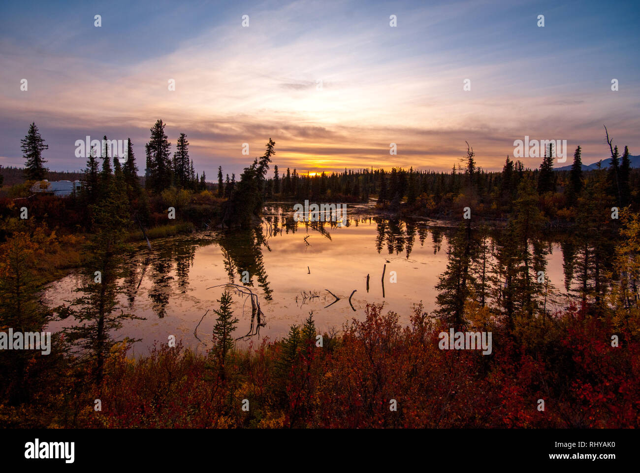 Un lago al tramonto lungo nabesna road in-Wrangell-St Elias National Park in autunno Foto Stock