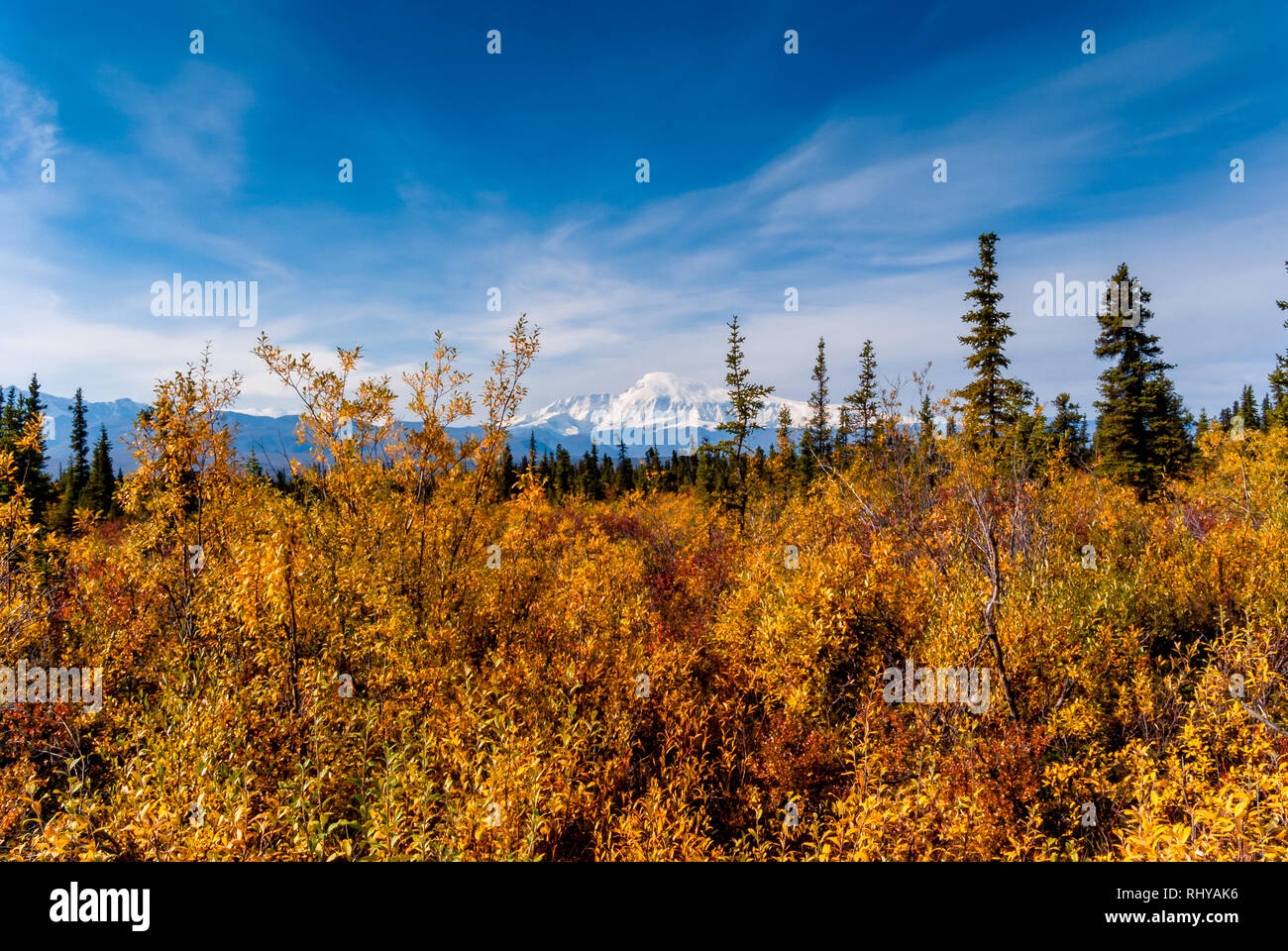 Nabesna road in-Wrangell-St Elias National Park in autunno Foto Stock