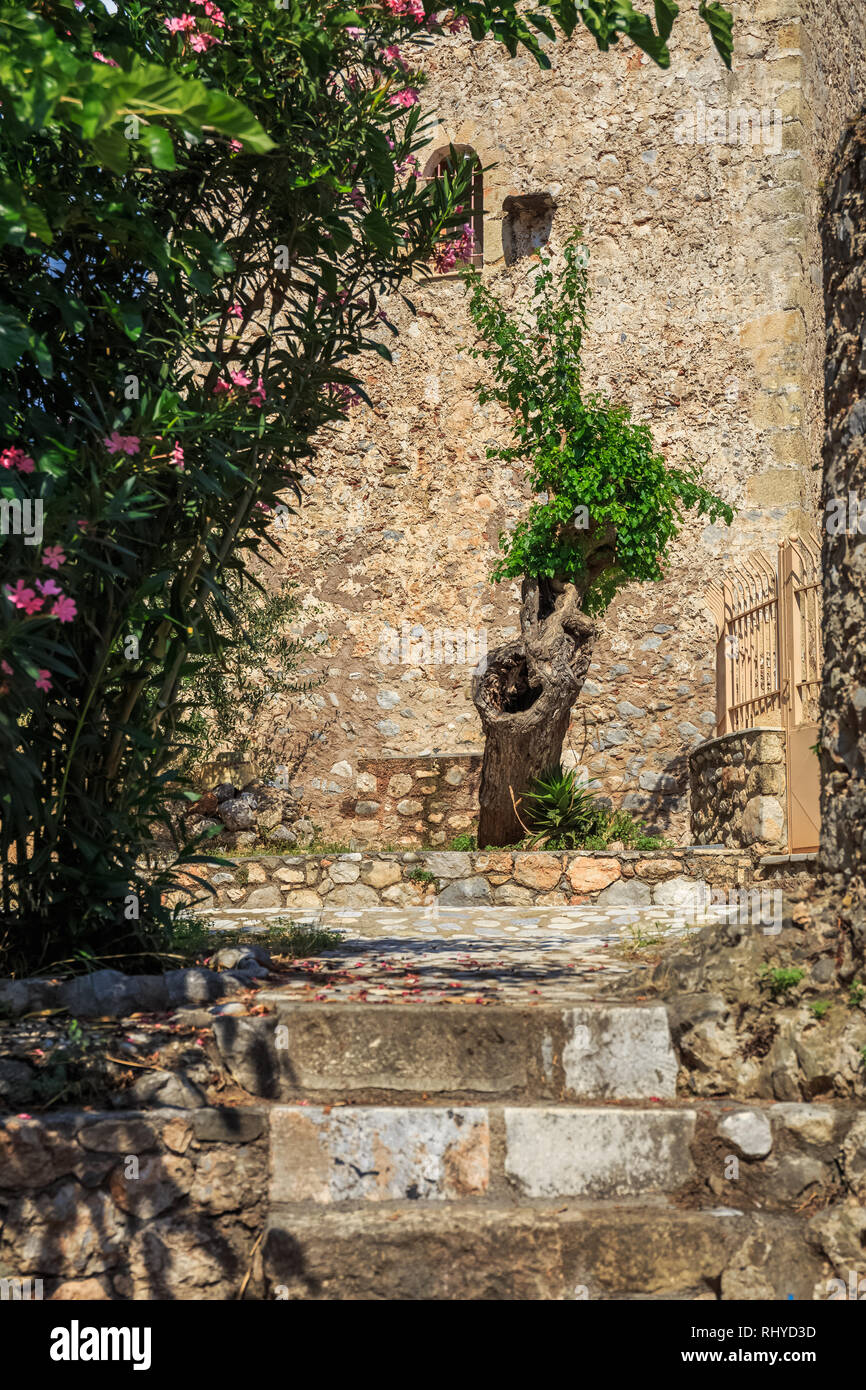 Piccola strada asfaltata nel vecchio villaggio tradizionale di Kardamyli, Messenia Foto Stock