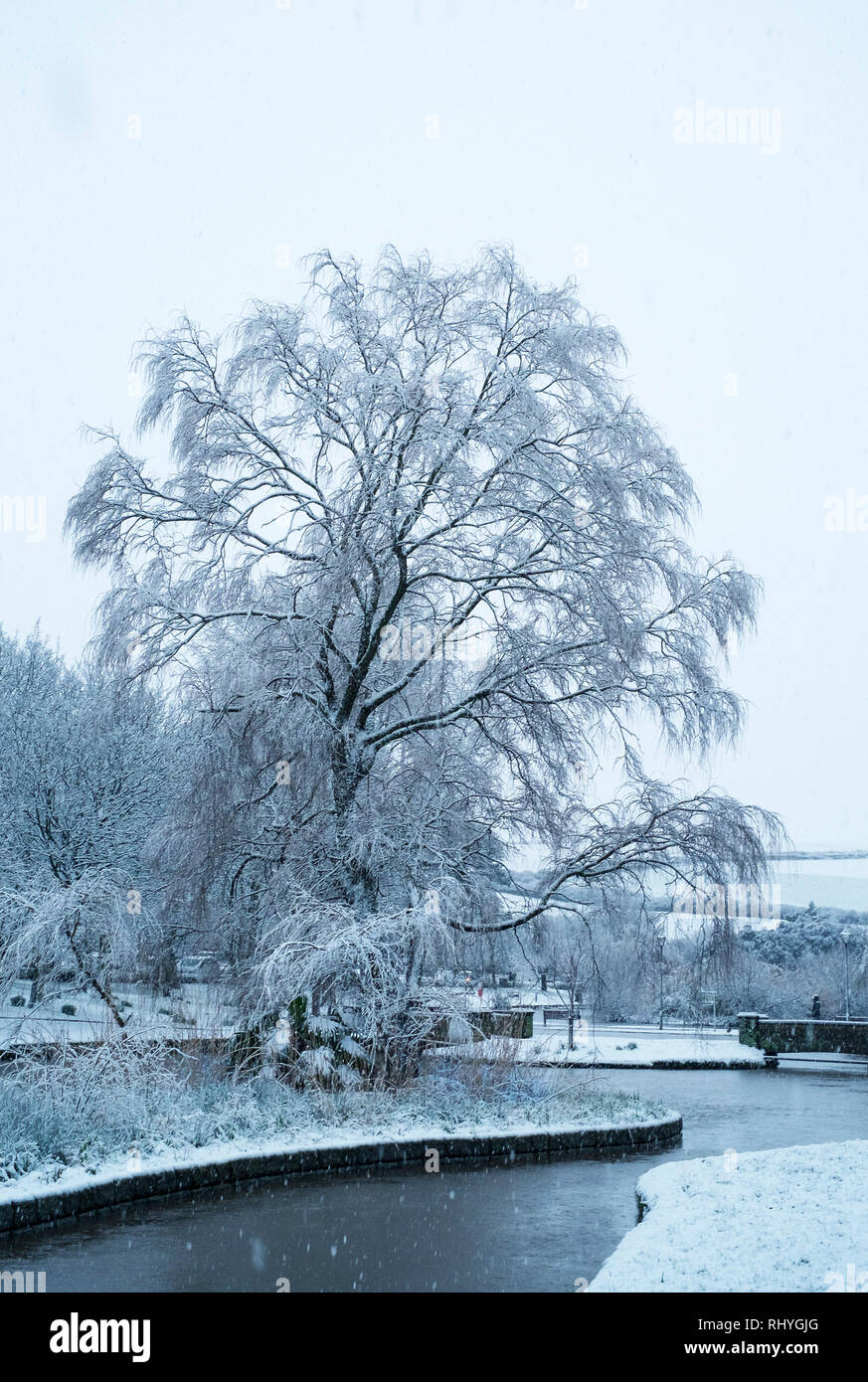 Trenance Gardens in forte nevicata nel Parco Trenance a Newquay in Cornovaglia. Foto Stock