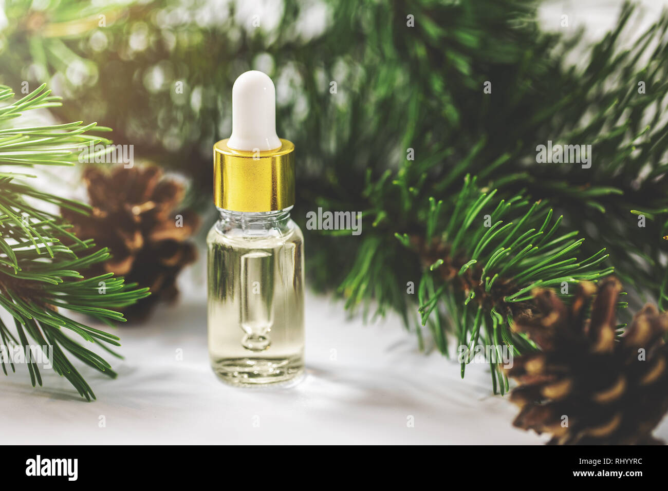 Olio essenziale bottiglia con pine ramo di albero e anello interno con rulli conici Foto Stock