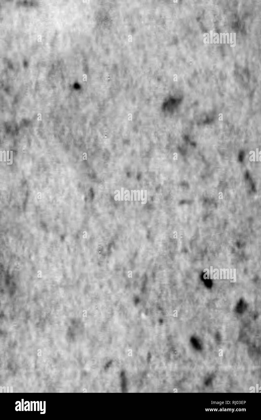 . Neue nordische Beyträge zur physikalischen und geographischen erd-und Völcurbeschreibung, Naturgeschichte und Oekonomie [microformati]. Viaggi e viaggi; Storia Naturale; viaggi; Sciences Naturelles. Ho ^01 %JfivH" Nse ij^ vo|[i fii;ui||i ^gerti dt^ge bafi^ $fforg( |ii wri#"t e^Bf (&LT;?DFF^J^S mit erOe "erfcl^detcc fi9, ege moti M Unter ben tt^Stfifc^in getMi^teit ^^rteflern o^r auc^ "configurare ungeipei^titi 6d)rifrge(el^rten giebt e$ semiQe outf" trwd^tf, unbt^tp^aiäi'iamä f^Ibf! Befldtigce 9^r(^^ tni/ n)f((&amp;f nia/ Coiie^terleS^ fiQeMicbe Xieiber su, bewaffnet f!^^ mit ^^n, ^fälW/ iet ^TBI Foto Stock