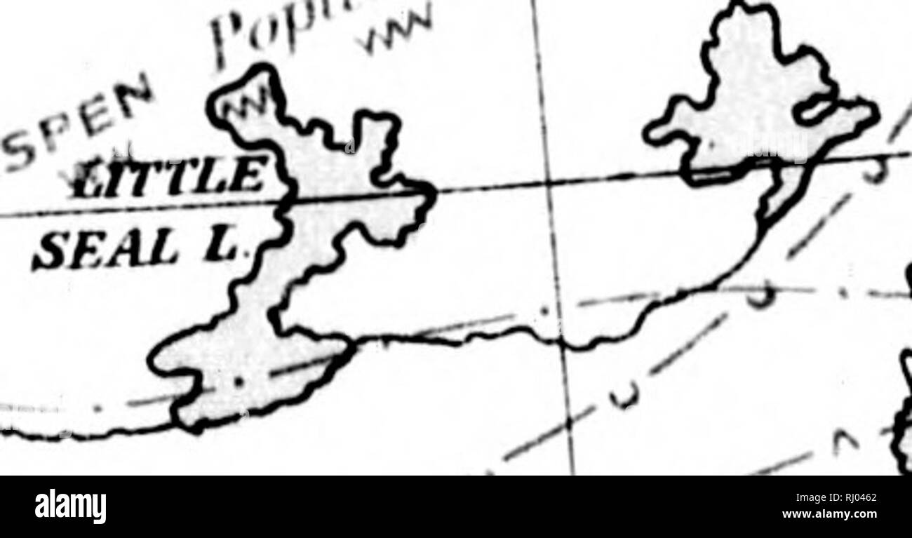 . La distribuzione geografica degli alberi forestali in Canada (con una mappa) [microformati]. Alberi; le foreste e la silvicoltura; Arbres; ForÃªts et silvicoltura. 7Â" Oardon B. 4M ^ l ^rOwl^ .Grten-I- _ speranze Advan mi 4- '^, Tidal l'Bk^Z r^ ,111'.'t- ("^ &gt;IVOf _^ â"¢ (Ml" ,f^ ^â ^!3^H 1 v;. Si prega di notare che queste immagini vengono estratte dalla pagina sottoposta a scansione di immagini che possono essere state migliorate digitalmente per la leggibilità - Colorazione e aspetto di queste illustrazioni potrebbero non perfettamente assomigliano al lavoro originale. Bell, Robert. [S. l. : S. n. ] Foto Stock