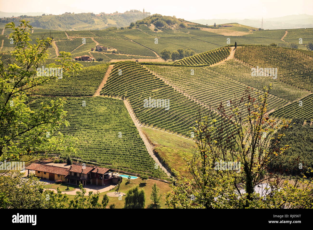 Bel paesaggio di vigneti nel Chianti in Toscana, Italia Foto Stock