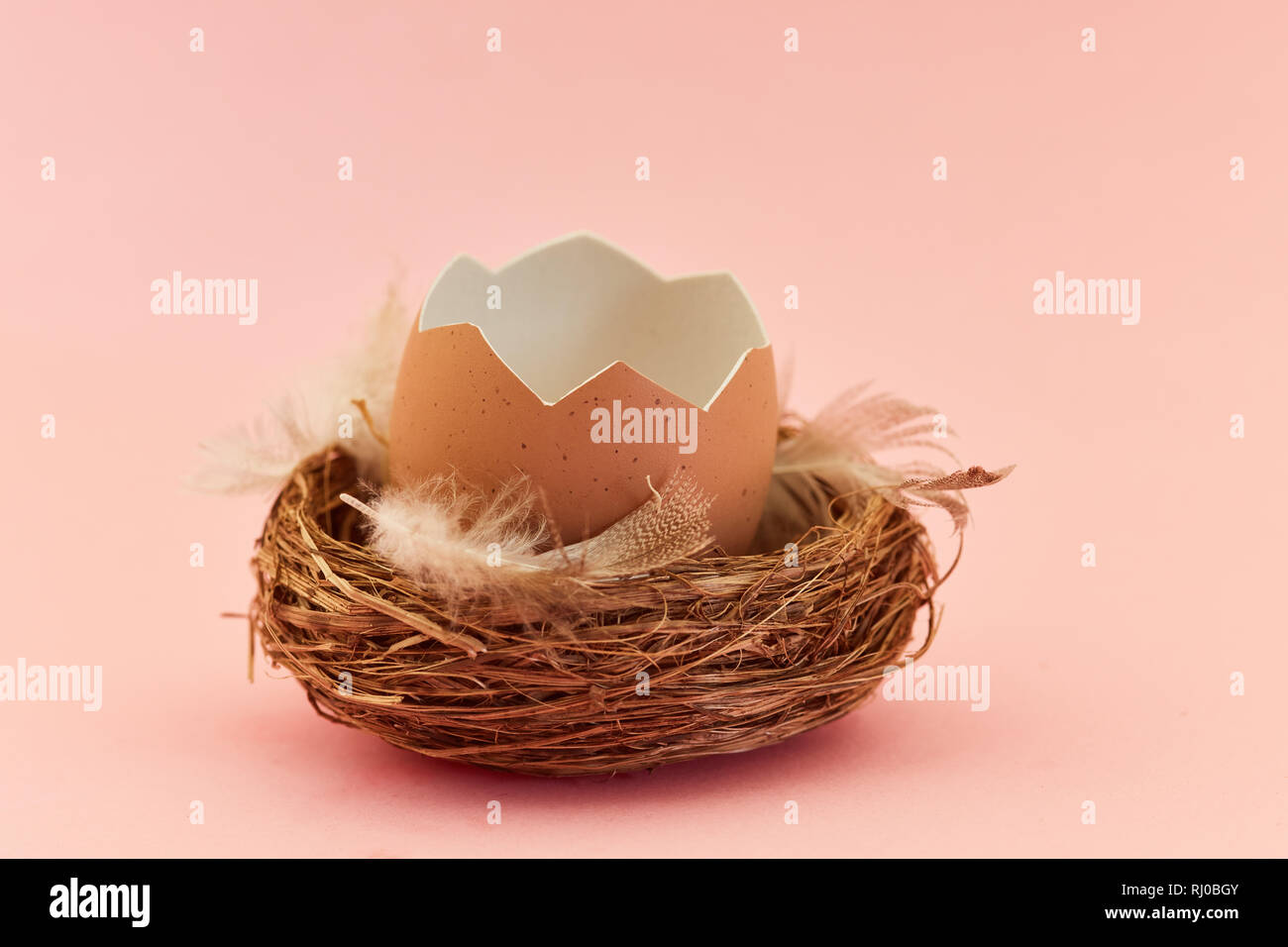 Aprire vuoti delle uova nel nido per Pasqua come una decorazione di sfondo Foto Stock