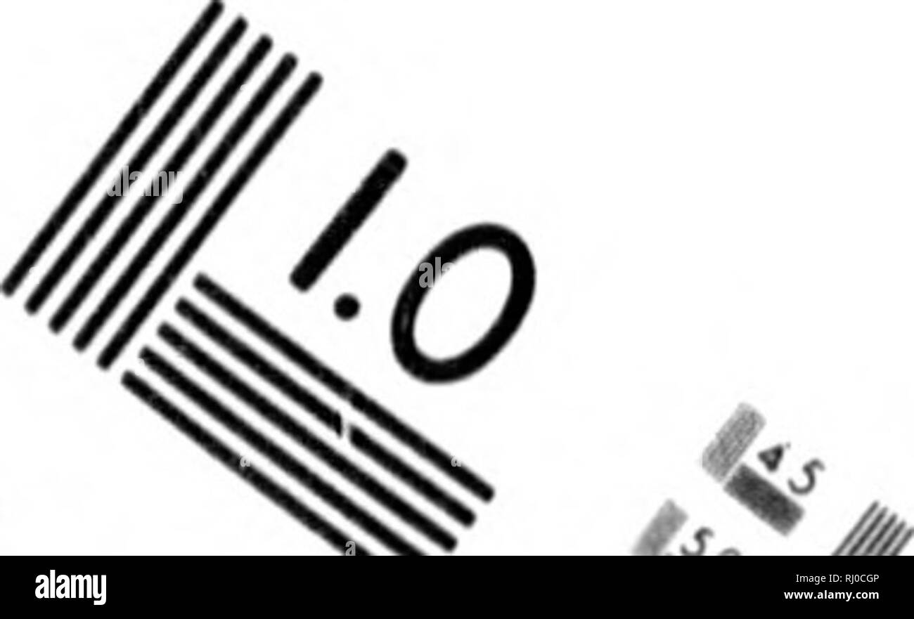 . Artificiale del cranio americana, o una vista comparativa dei teschi di varie nazioni aborigene del nord e sud America [microformati] : a cui è preceduto un saggio sulla varietà della specie umana. Craniology; indiani del Sud America; Craniologie; Indiens; Indiens. Valutazione di immagine il bersaglio di test (MT-S) / " ^^. V fA :/. Ho 1.0 I.I 1,25 '- iia |5 0 Se 1^ 1.4 M 2.2 [2,0 1,6 V] &lt;^ /^^;. '/' ^&GT;/ '-^^: o 7 w Photographic Sciences Corporation 23 WEST MAIN STREET WEBSTER, NY. 14580 (716) 872-4503. Si prega di notare che queste immagini vengono estratte dalla pagina sottoposta a scansione di immagini che possono essere state digital Foto Stock