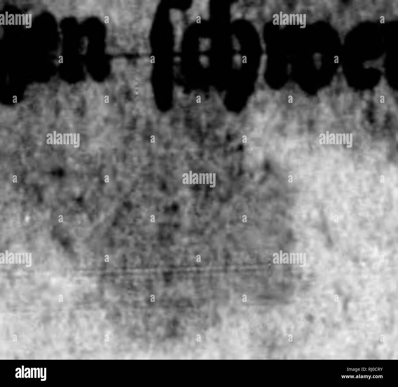 . Neue nordische Beyträge zur physikalischen und geographischen erd-und Völcurbeschreibung, Naturgeschichte und Oekonomie [microformati]. Viaggi e viaggi; Storia Naturale; viaggi; Sciences Naturelles. dfcr dieci SlBrab0i#earien, tooTTratn- "iilicl^fn s^öcerie, unb iio4) |n)C9 9Rirr(^, mit eben 'rlfienr beren eind mie tiit runber SpUgti anffe^. &Gt;0 0tdcf jeigt mir aiif einer 9^&amp;i}t, #,ben %t1&GT; ipat-affe( (iegt, einen ^iemUd^ berBorgenenflUtaitgtoni. 13. ^n f(6wdr|n4er&GT; abgerunbefer, iMrfil^obencr k^io, beffen lange ünb Q5rei(" T. 2""/ bie ^icfe nn., ä^Q/ unb bie 64^iDe Foto Stock