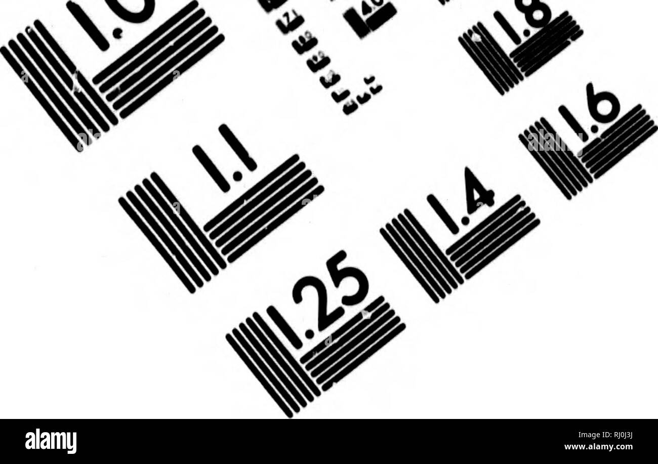 . American pesci [microformati] : un famoso trattato su il gioco e il cibo pesci del Nord America, con particolare riferimento alle abitudini e i metodi di cattura. Pesci; Pesca; Poissons; Pêche sportive. &Gt;t%,. Valutazione di immagine il bersaglio di test (MT-3). Si prega di notare che queste immagini vengono estratte dalla pagina sottoposta a scansione di immagini che possono essere state migliorate digitalmente per la leggibilità - Colorazione e aspetto di queste illustrazioni potrebbero non perfettamente assomigliano al lavoro originale. Goode, G. Brown (George Brown), 1851-1896. Boston : Estes e Lauriat Foto Stock