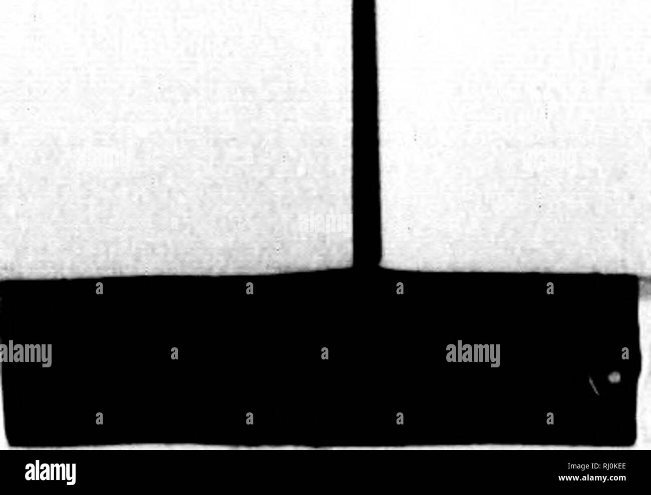 . Una nuova storia centenaria dello stato del Kansas [microformati] : essendo una piena e completa i diritti civili, politici e di storia militare dello stato dalla sua prima soluzione del tempo presente. Storia naturale; Sciences Naturelles. IM IllSTuur TVTTLKS Oh' UN'.l.nw.JV. Si luvvoyour risposta da Ni;w York o da San Francisco, con- in Imlf ft ilay vostro intcMlions* arc comi)n!liuiuloil imd rt-poatcd da TftriM, ViiMUKi, St. l'olcrÂ"biirgli o Loiidon, il tuo conc licd toyt)ur coiiiiiiuuiuulioiiH, witliout furlhur troublu lluin u messaggio fow ragazzi prendendo un girovagare attraverso il Hlreets del tho cai&GT;IT Foto Stock